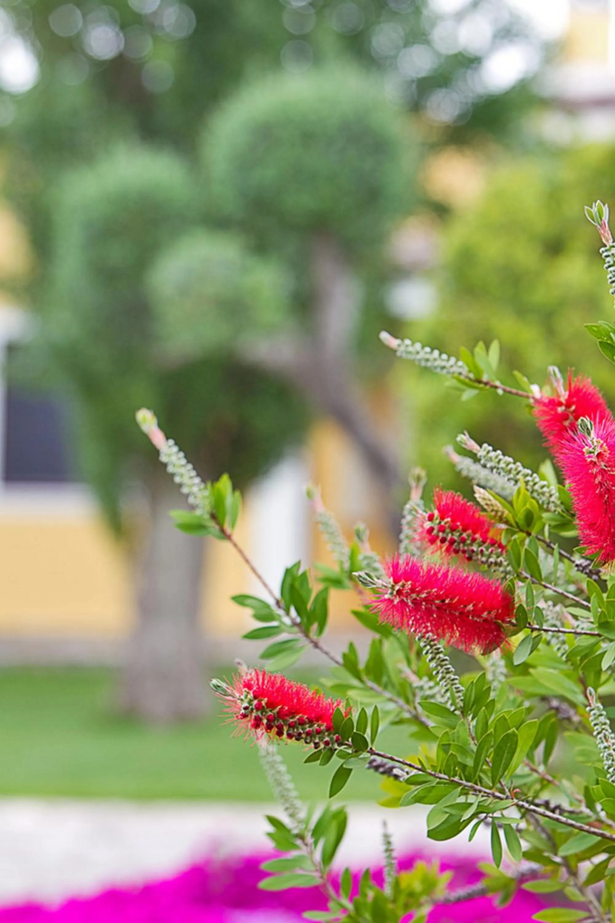 Garden in B&B QuattroStelle
