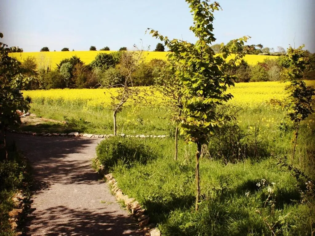 Property building in The Chilterns View