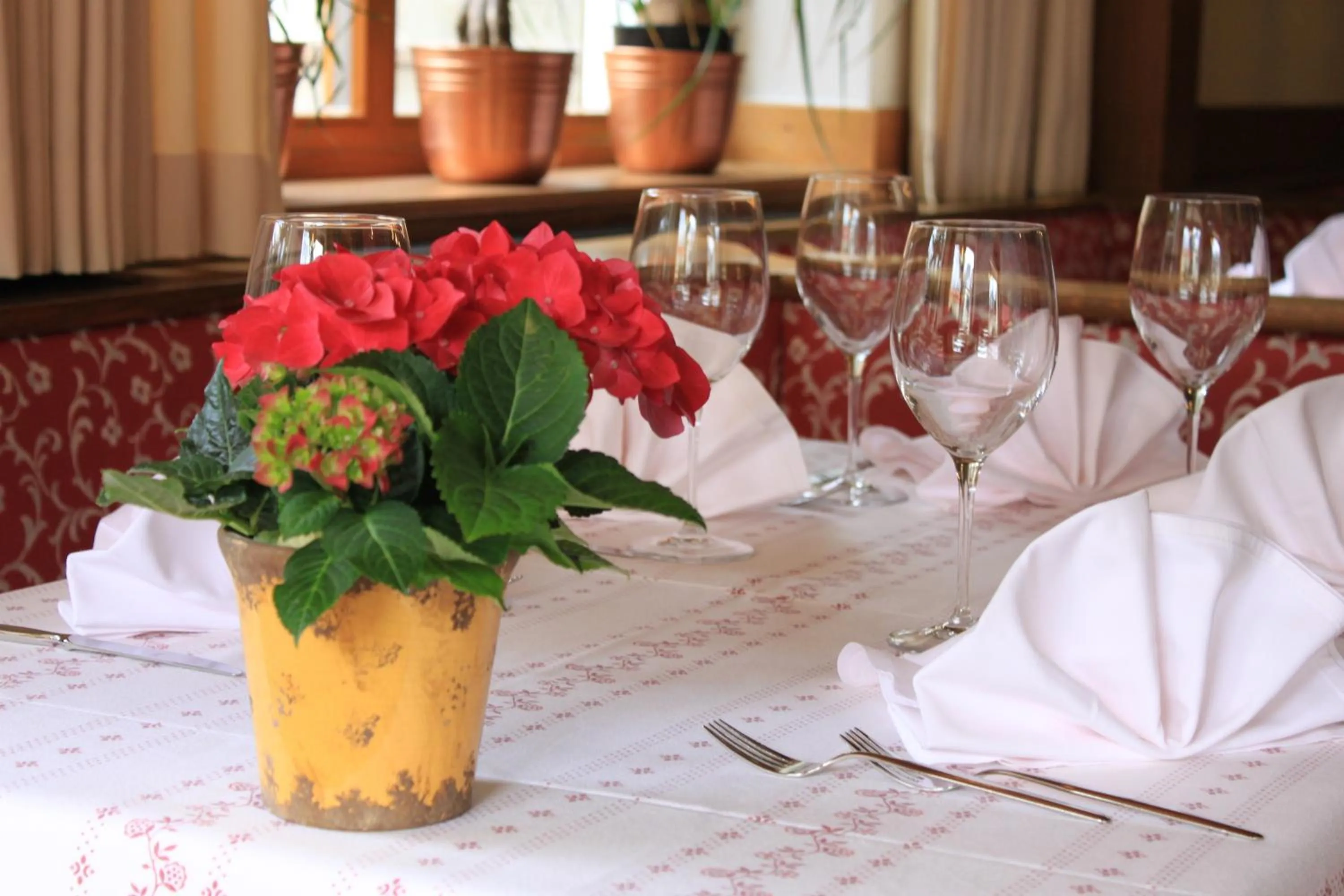 Restaurant/places to eat in Albergo Alisander