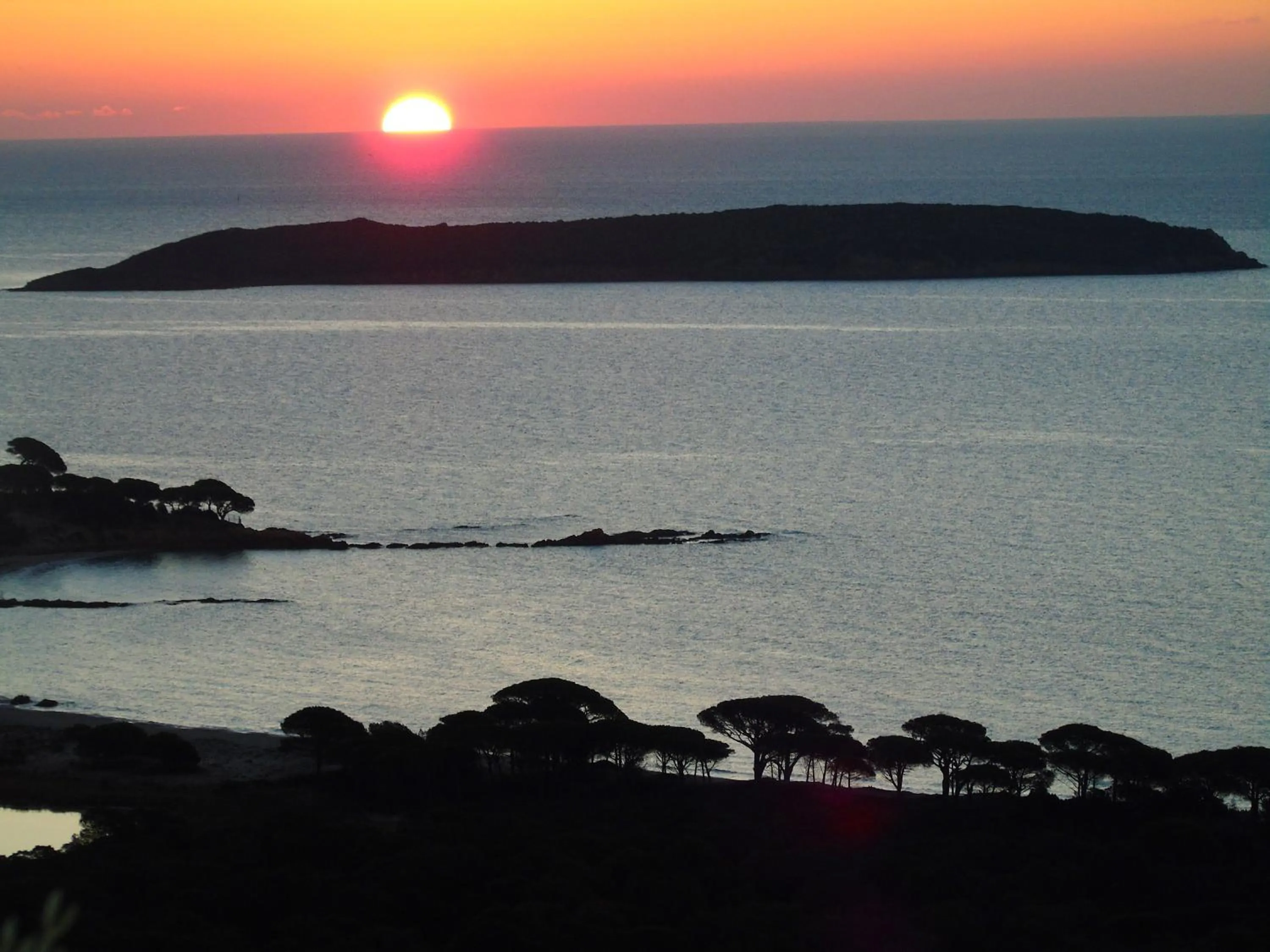 Neighbourhood in Résidence Belvedere de Palombaggia