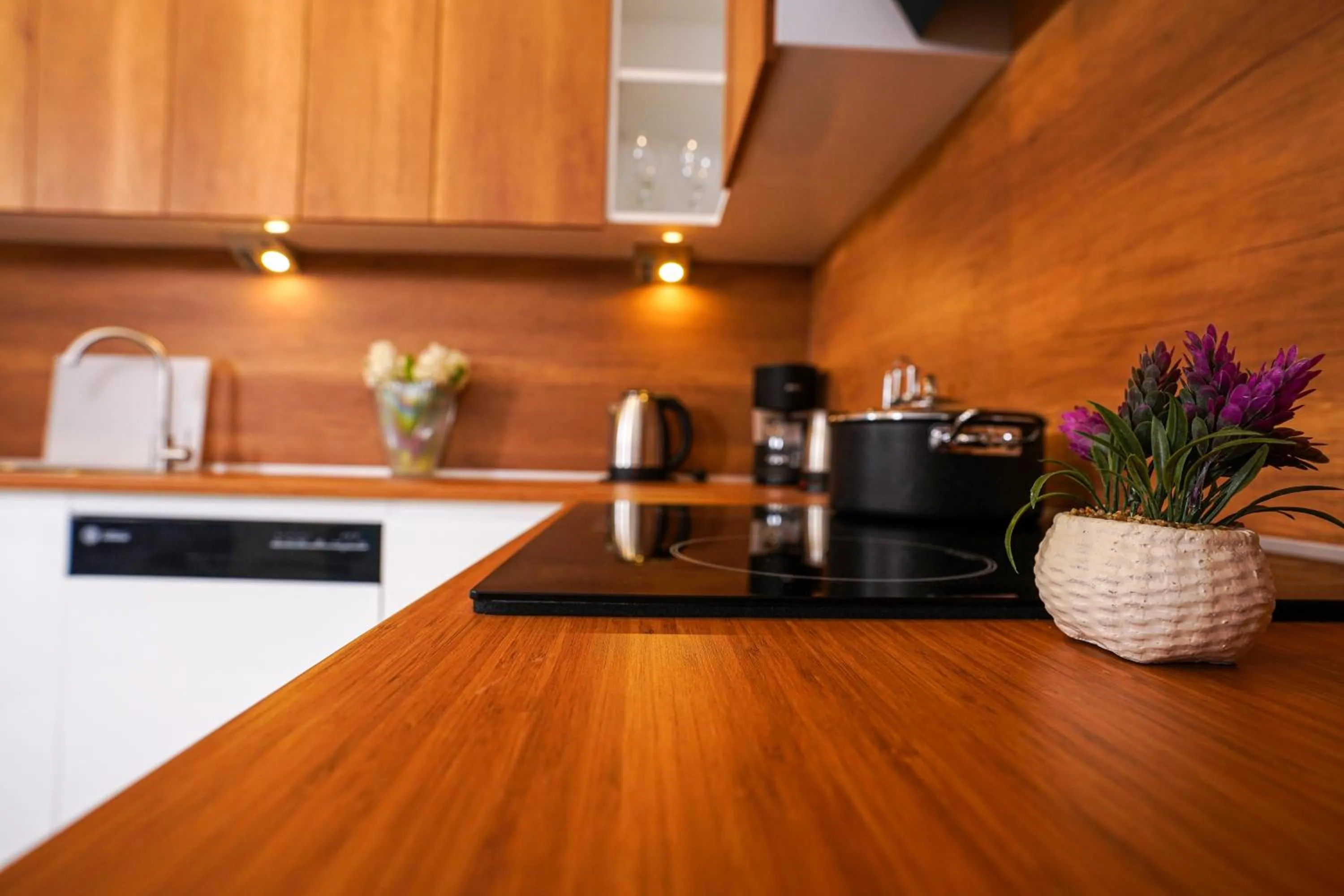 kitchen in Merkuri apartments