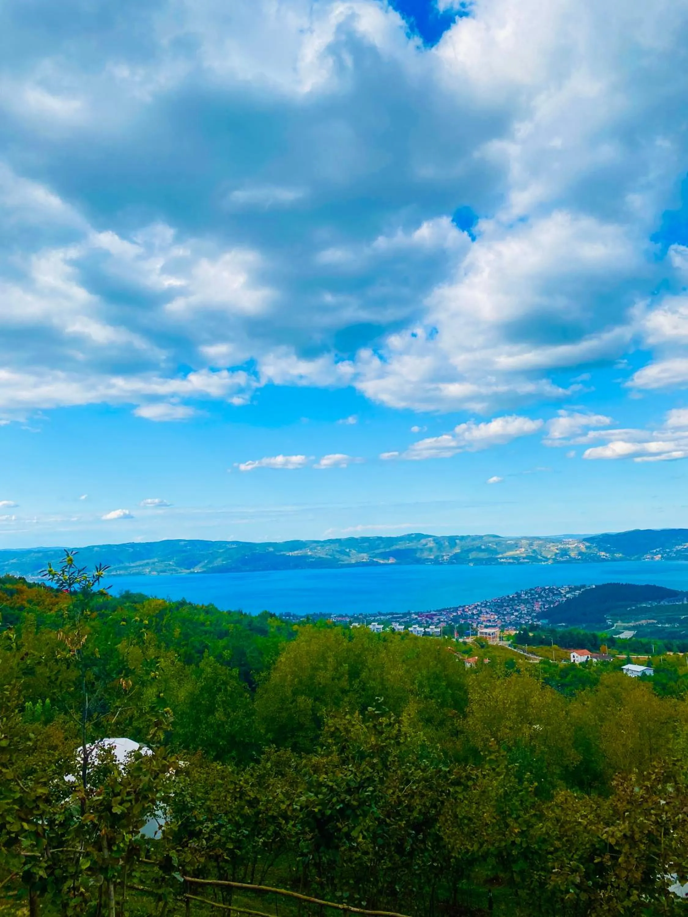 Phalesia Glamping Otel