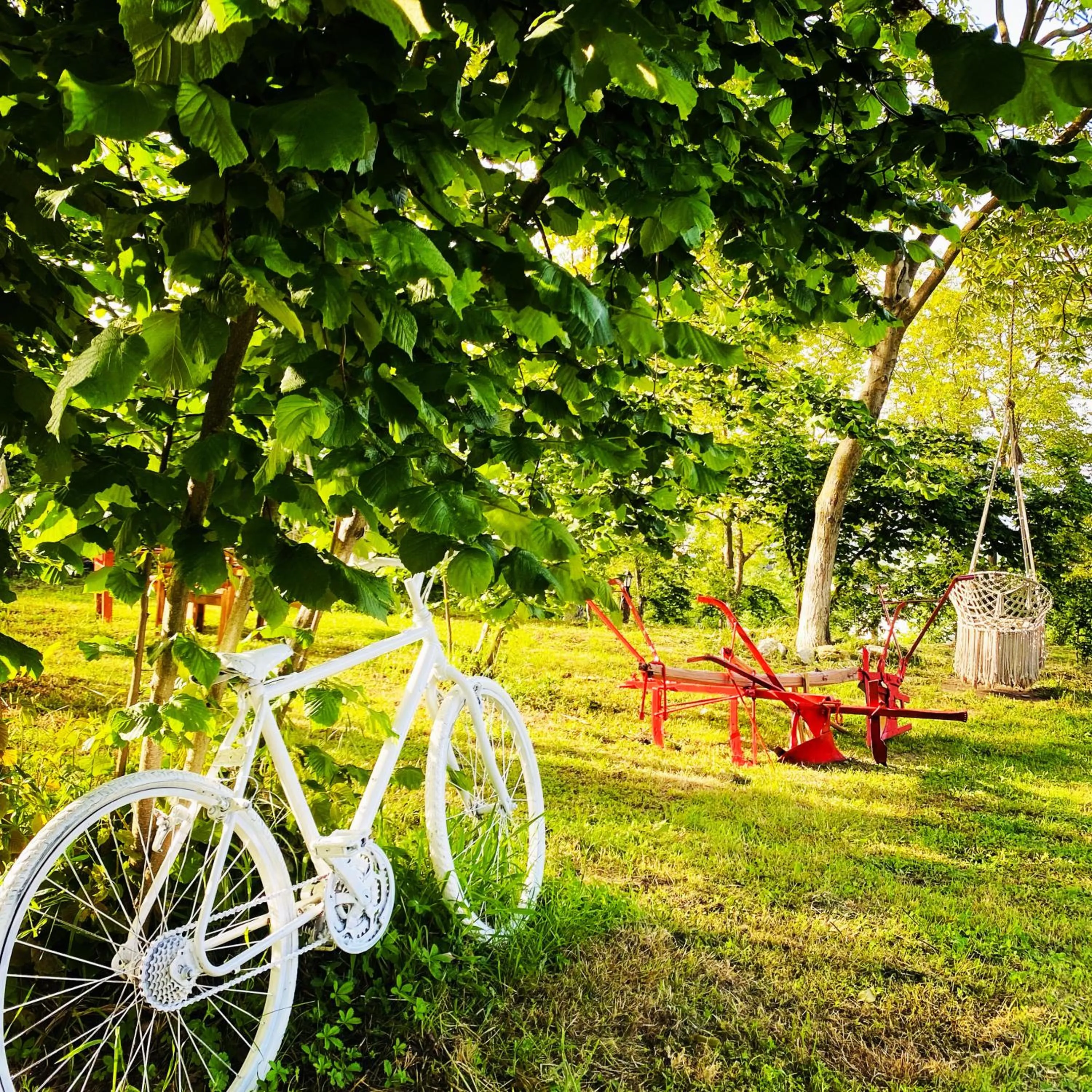 Phalesia Glamping Otel