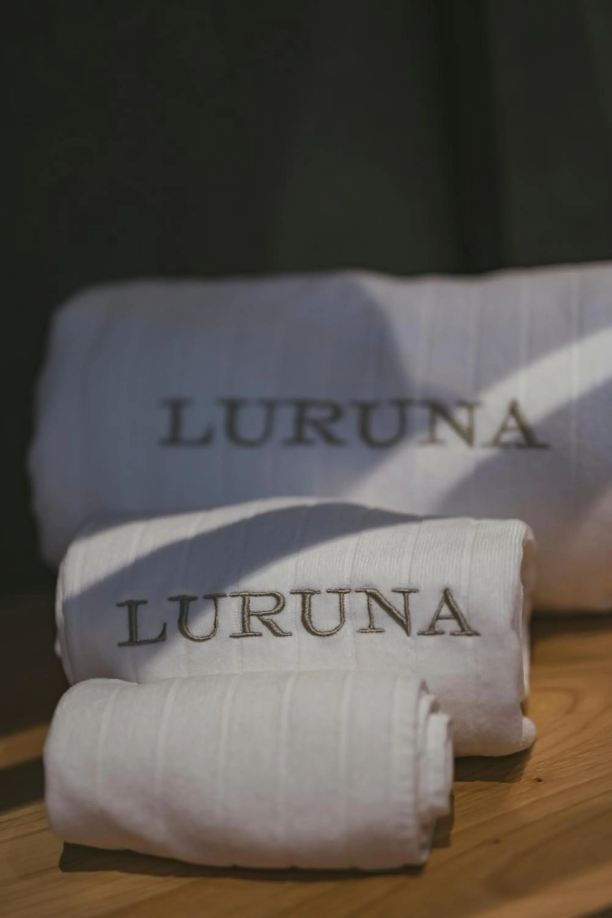 Decorative detail in Hotel Luruna Palacio Larrinaga