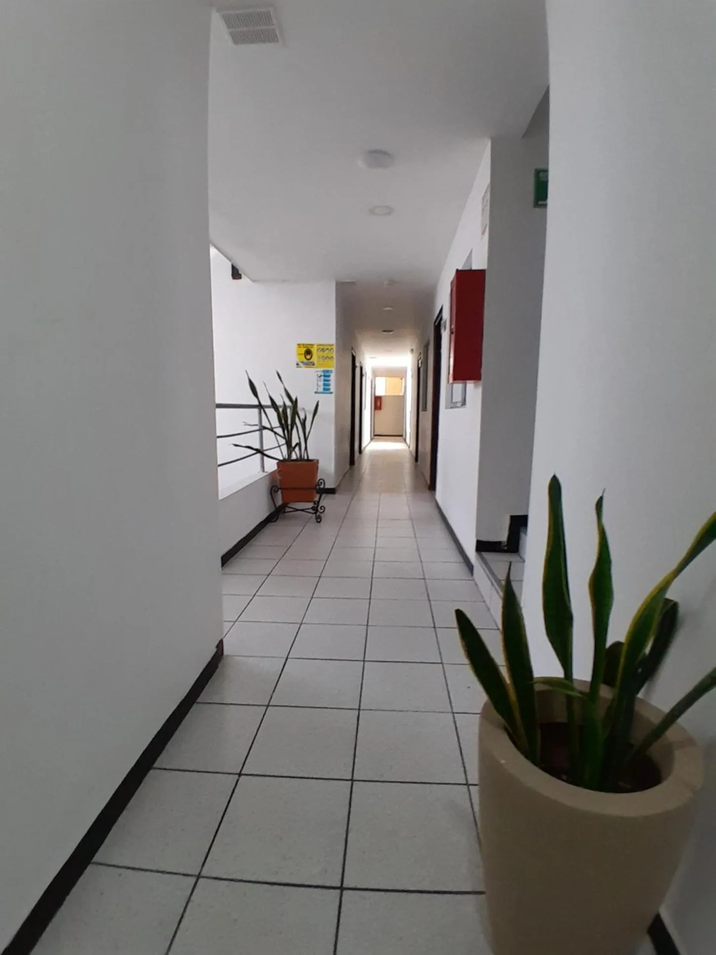 Property building in Hotel Palermo Real