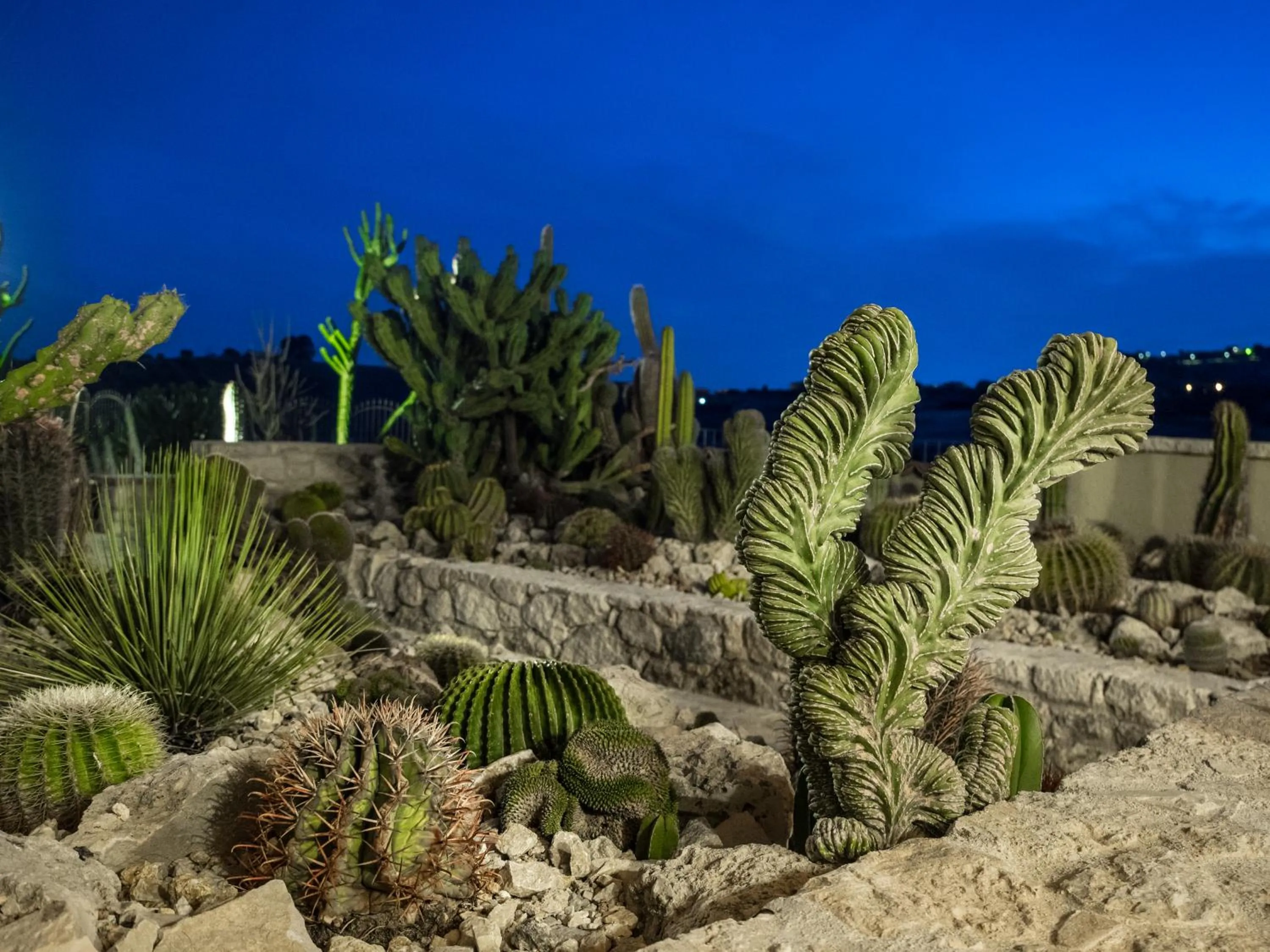 Night in Relais Garden Cactus B&B