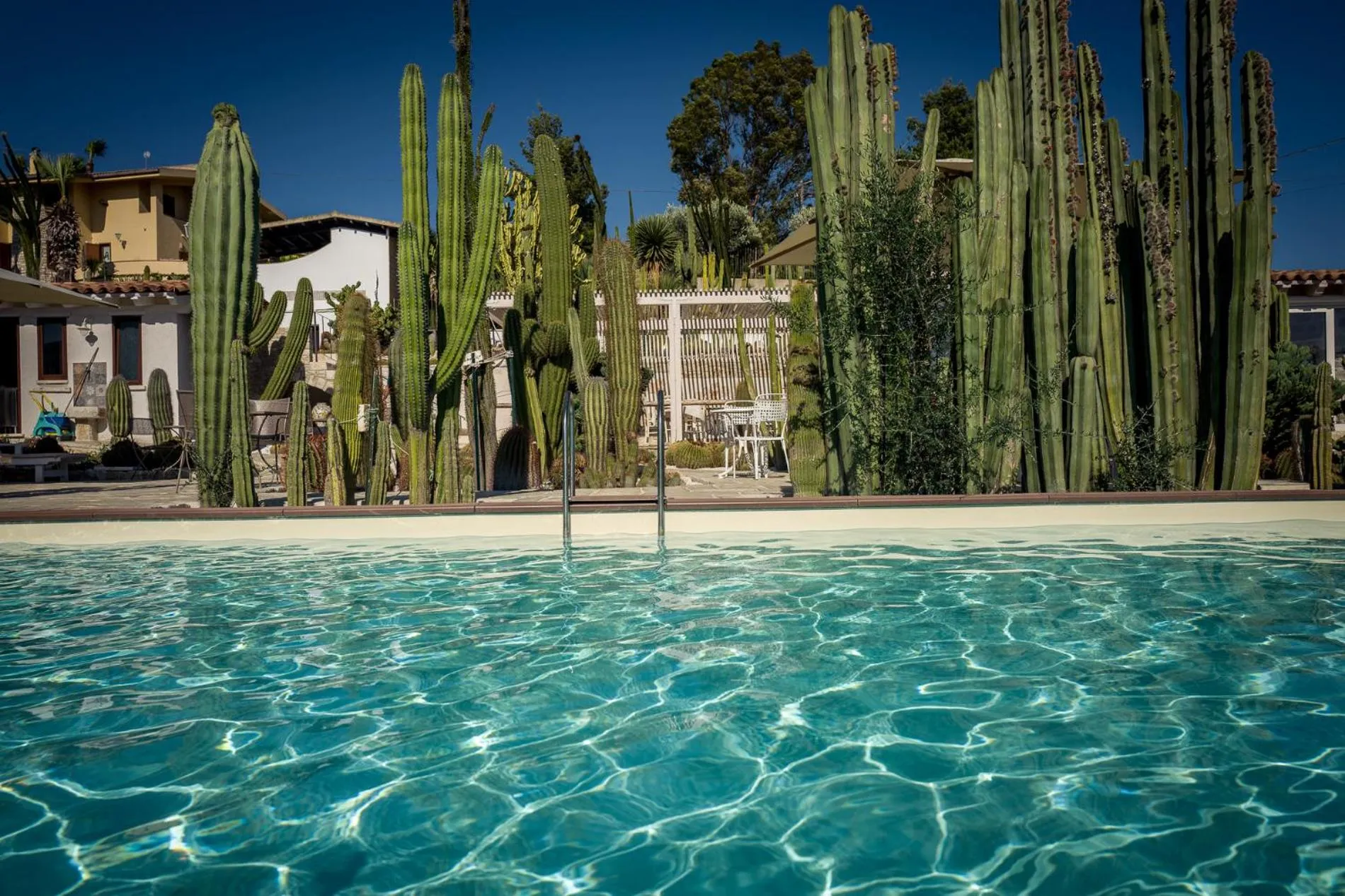 Day in Relais Garden Cactus B&B