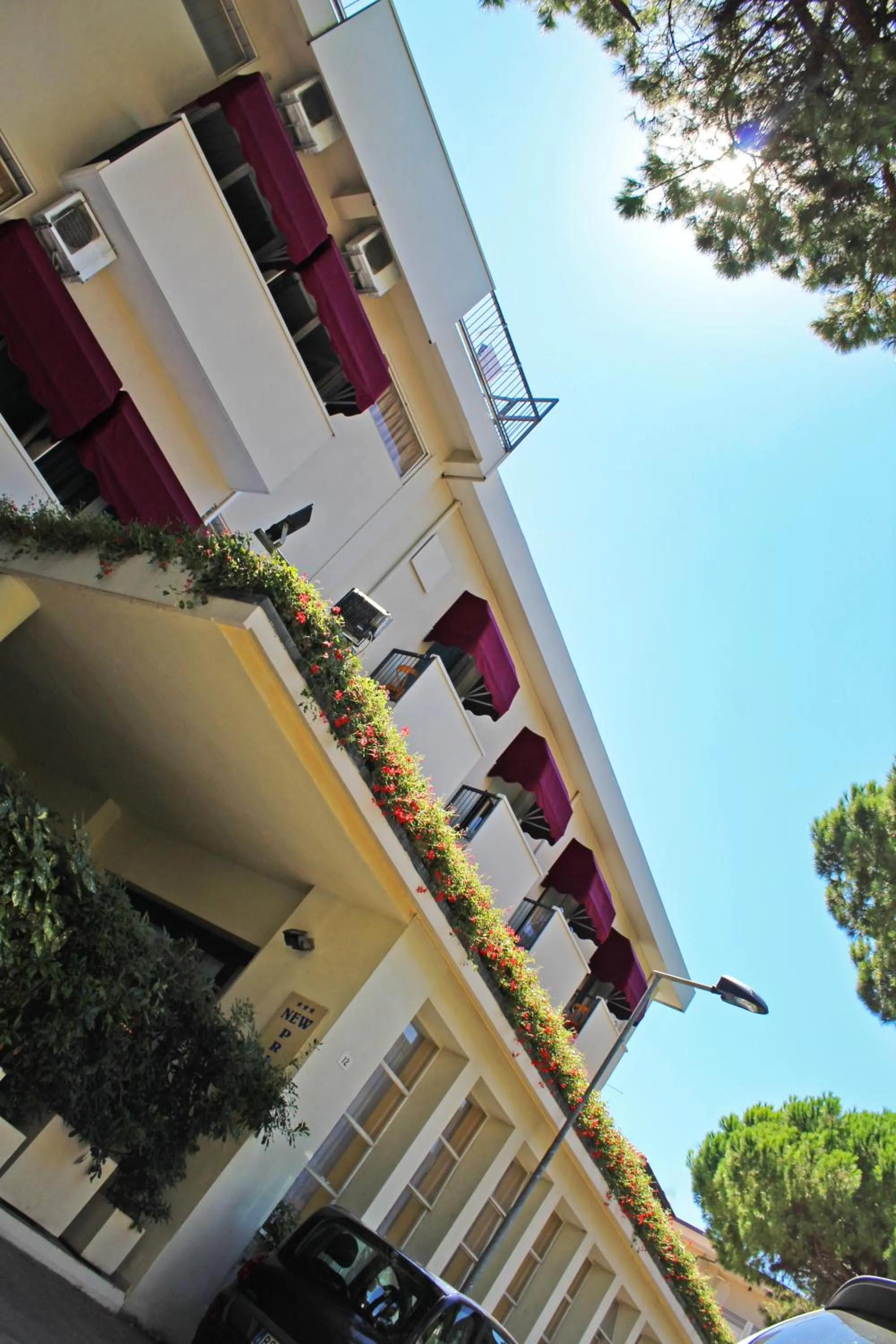 Facade/entrance in Hotel New Primula