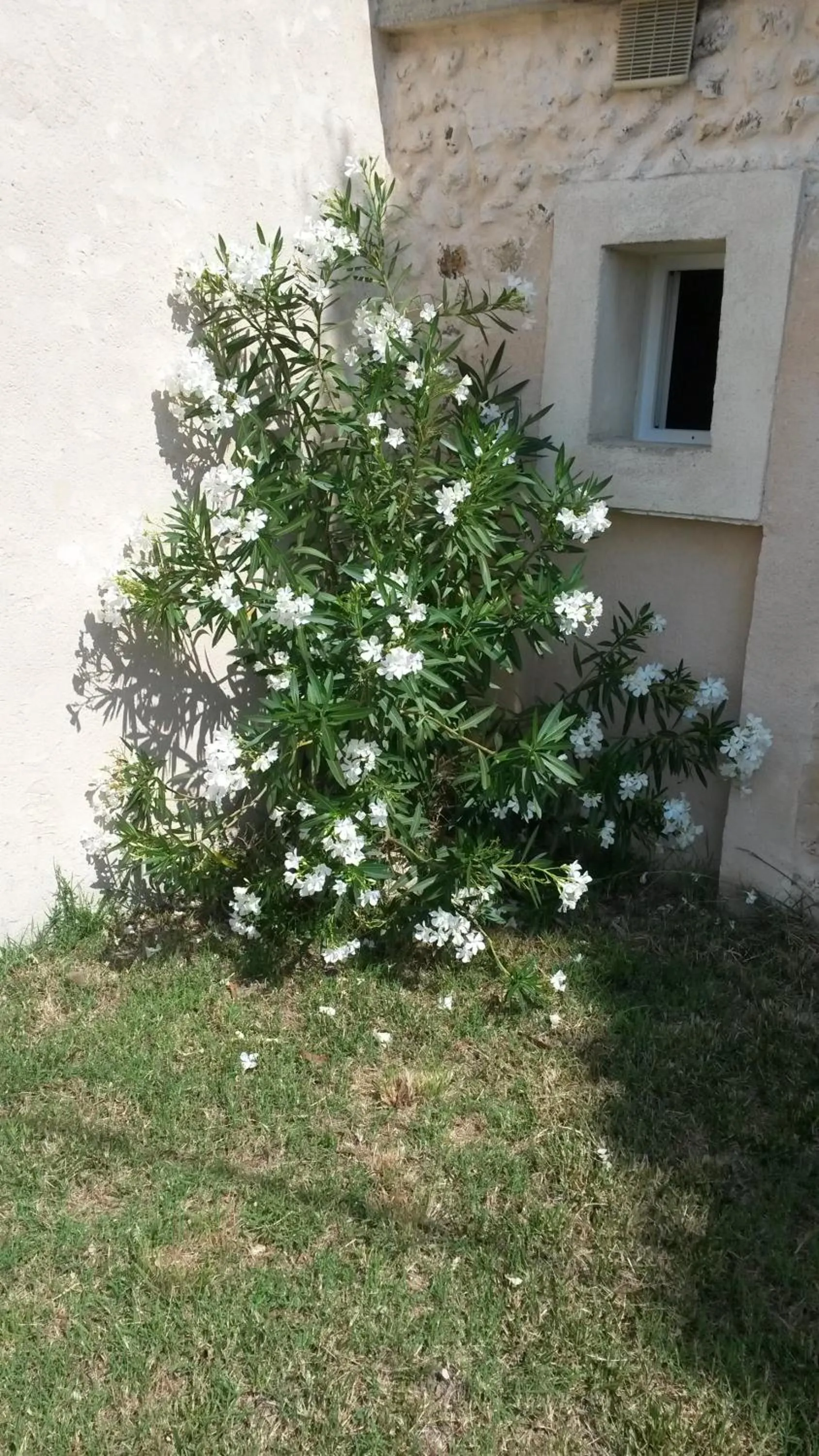 Property building in Ferme de Palumiane - Chambres climatisées