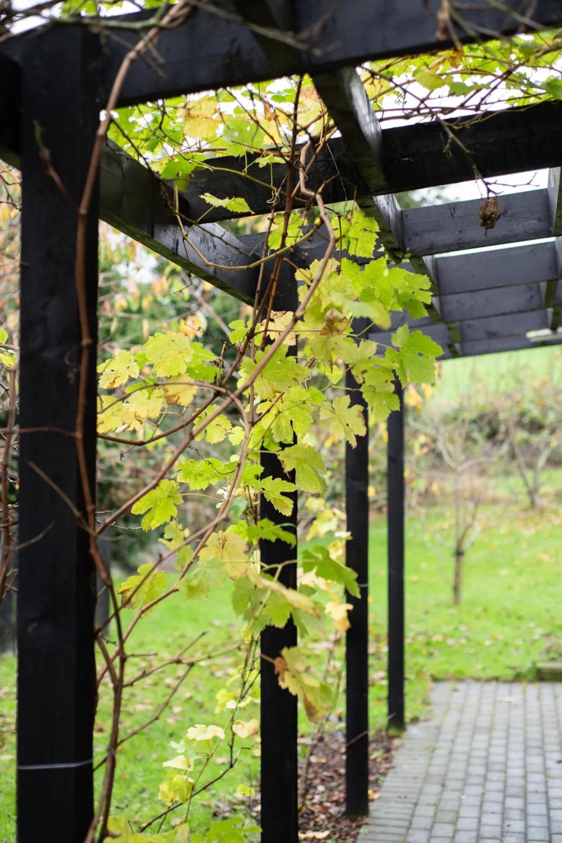 Garden in Blackwell House