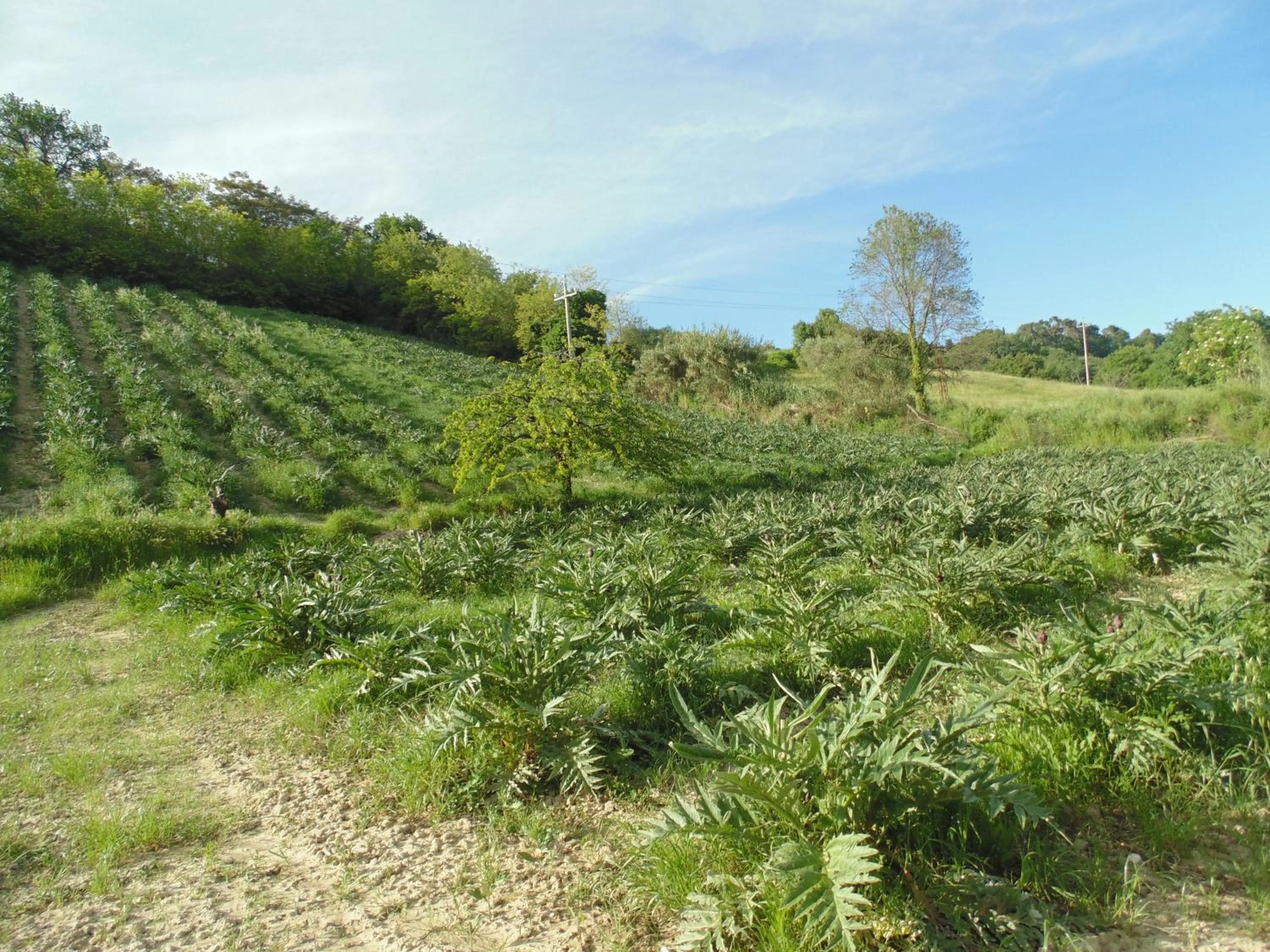 Natural landscape in Bigotti