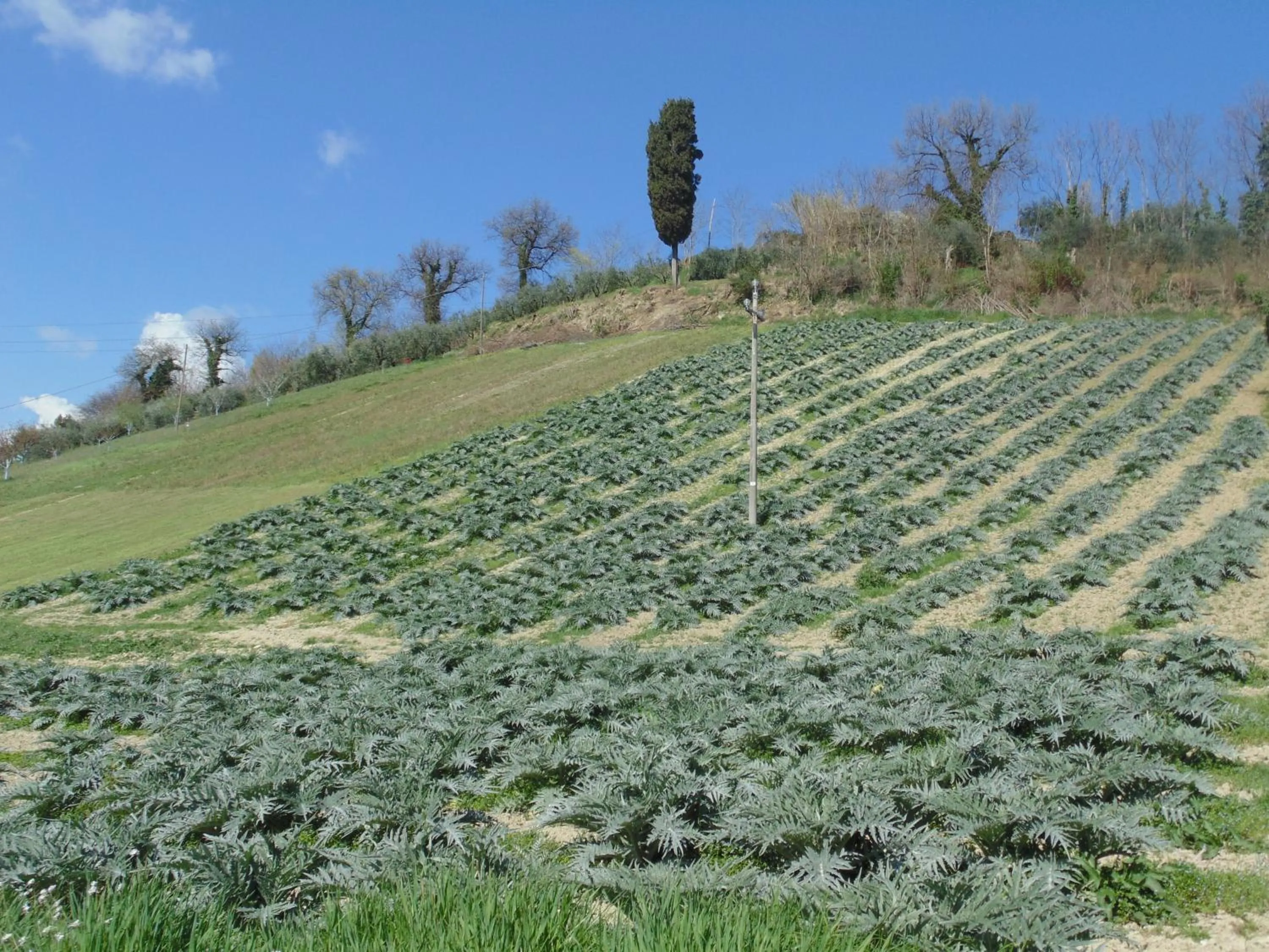 Natural landscape in Bigotti