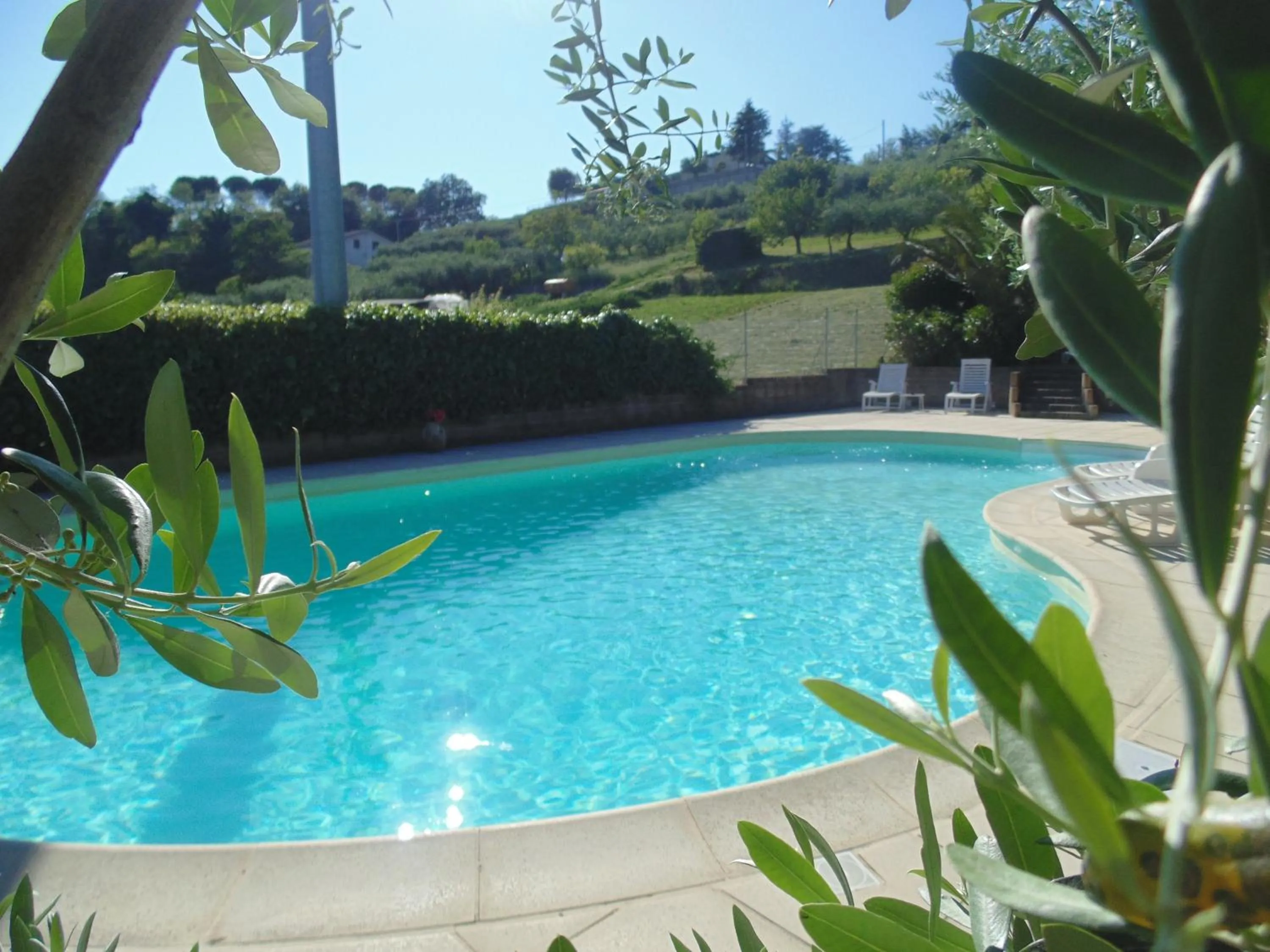 Swimming pool in Bigotti