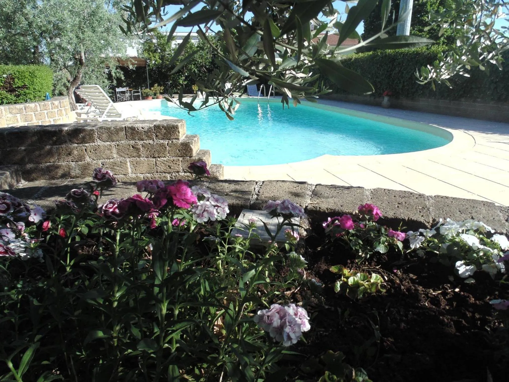 Swimming pool in Bigotti