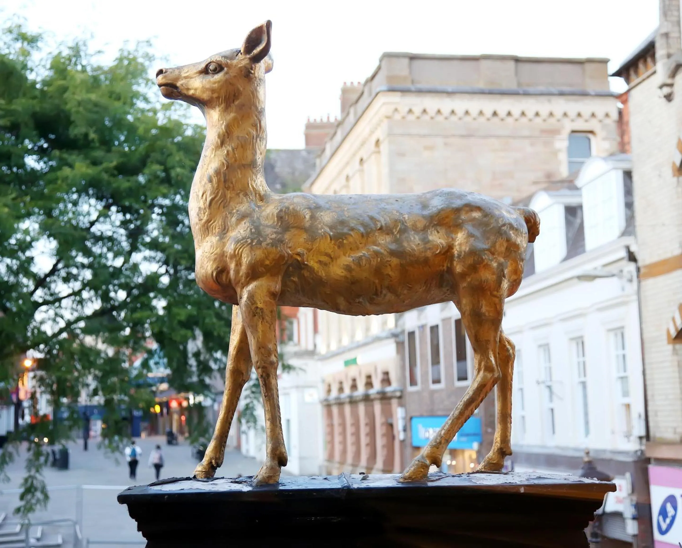 Property building in The Hind Hotel