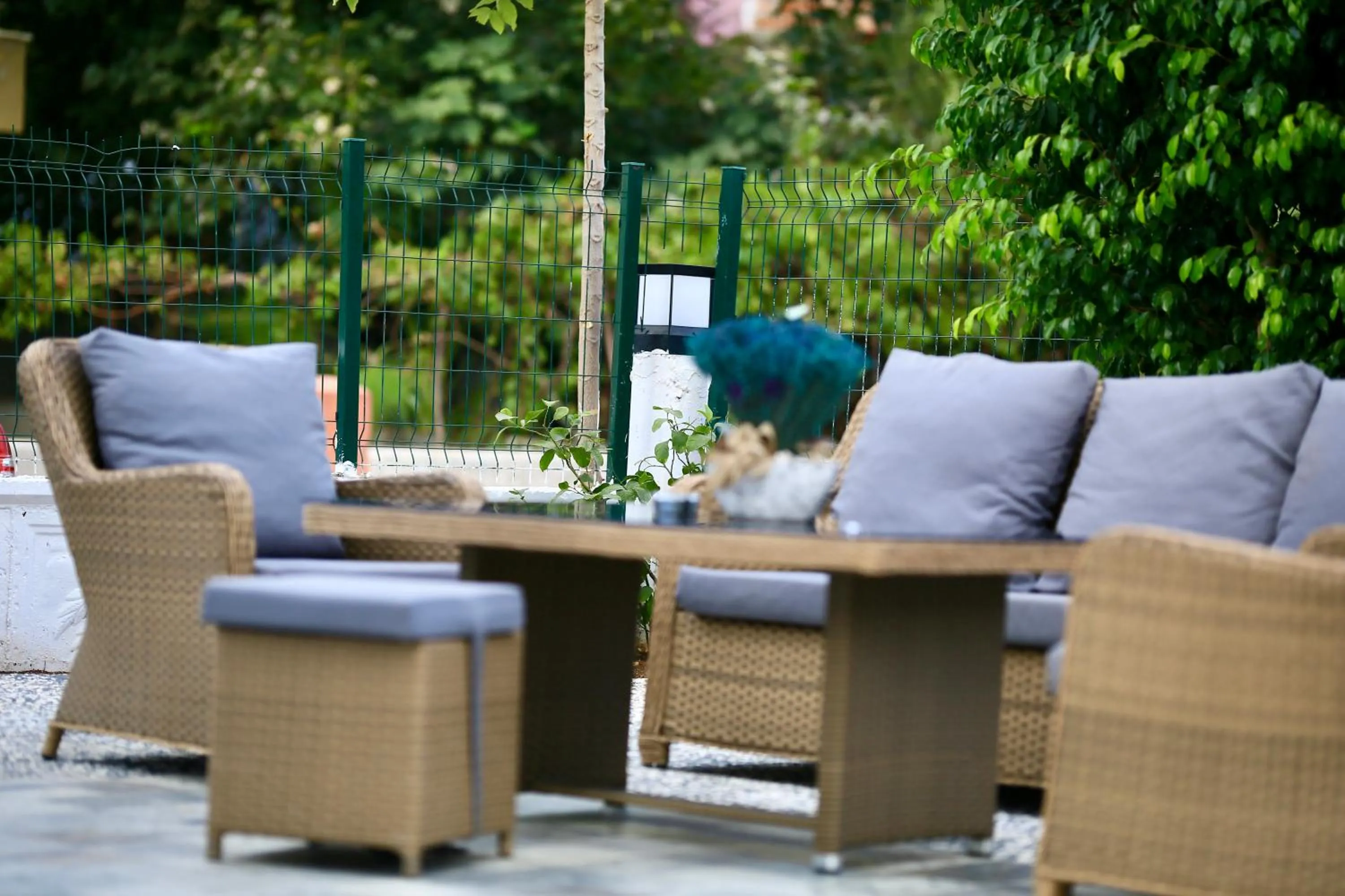 Garden in Bloomtalya Hotel