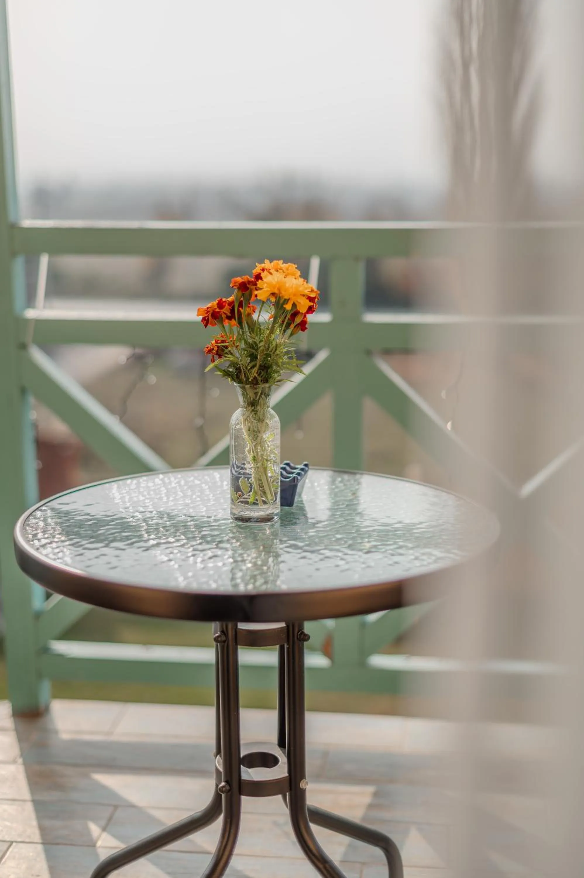 Patio in Burki Castle & Cellar
