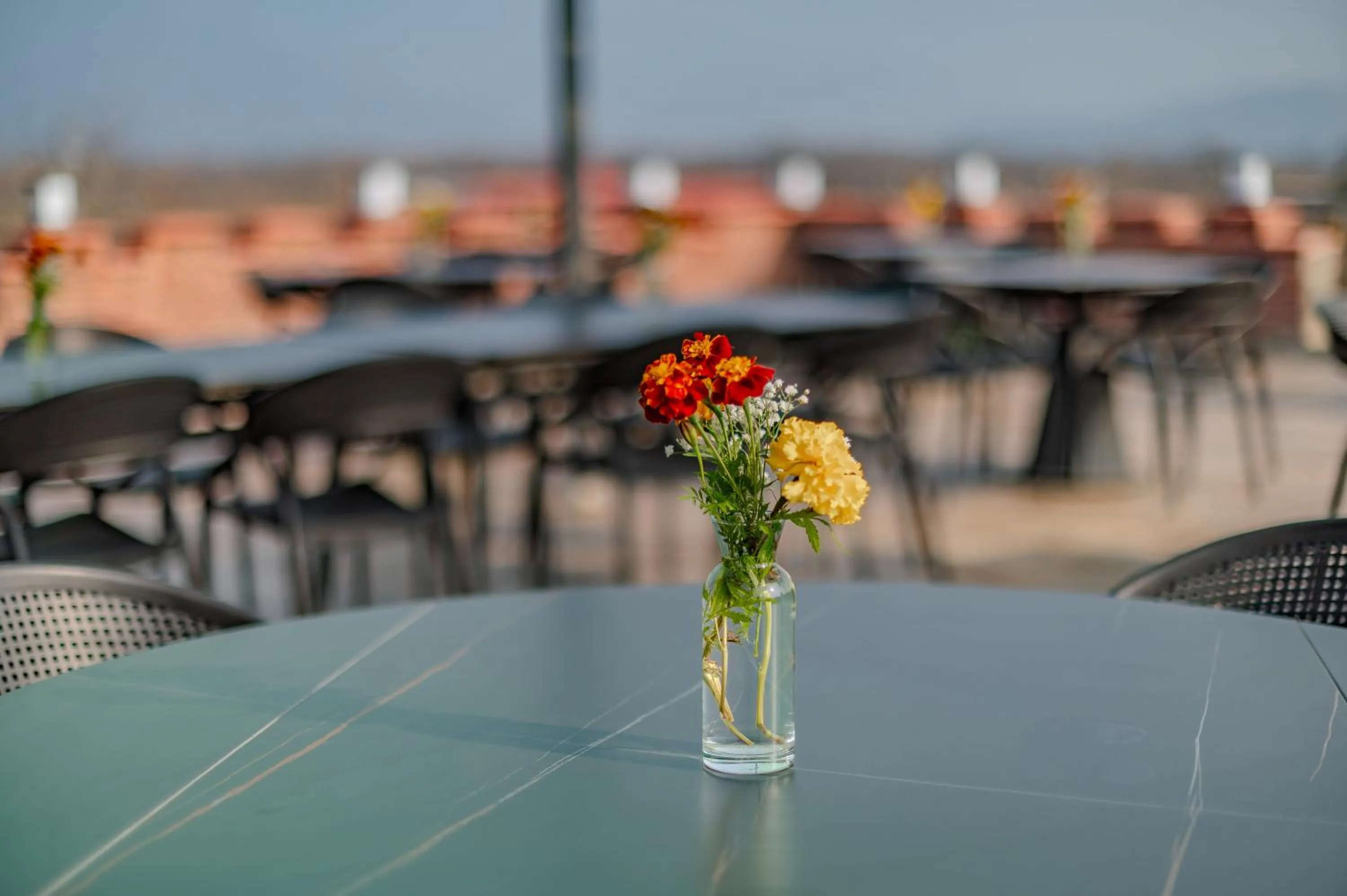 Restaurant/places to eat in Burki Castle & Cellar