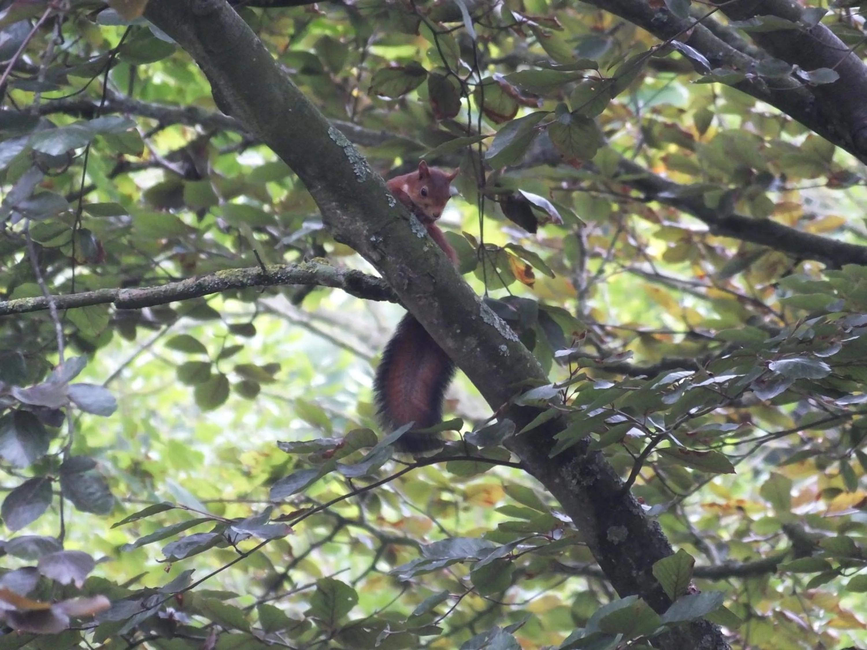 Day in L'Escarbotine