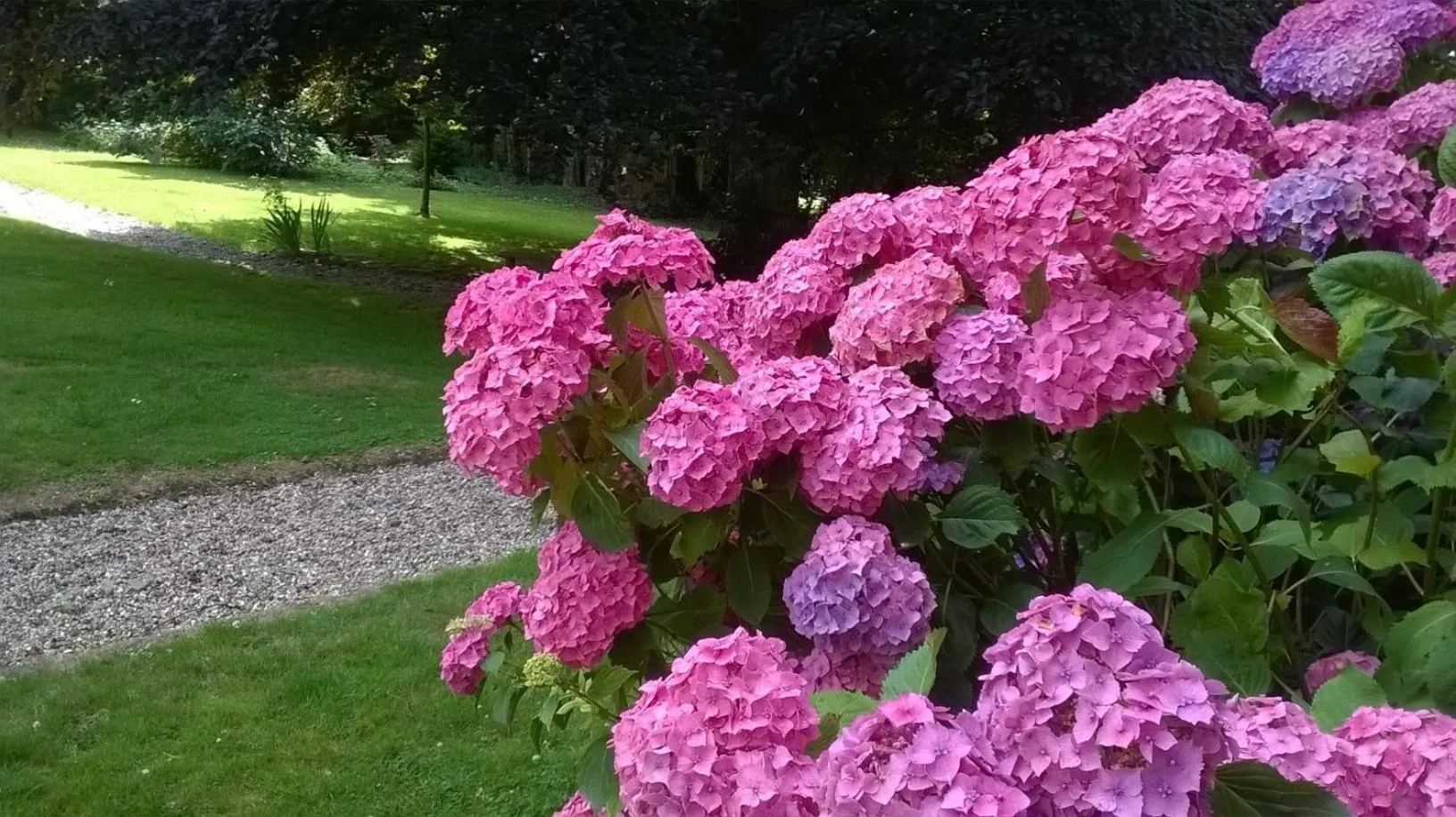Spring in L'Escarbotine
