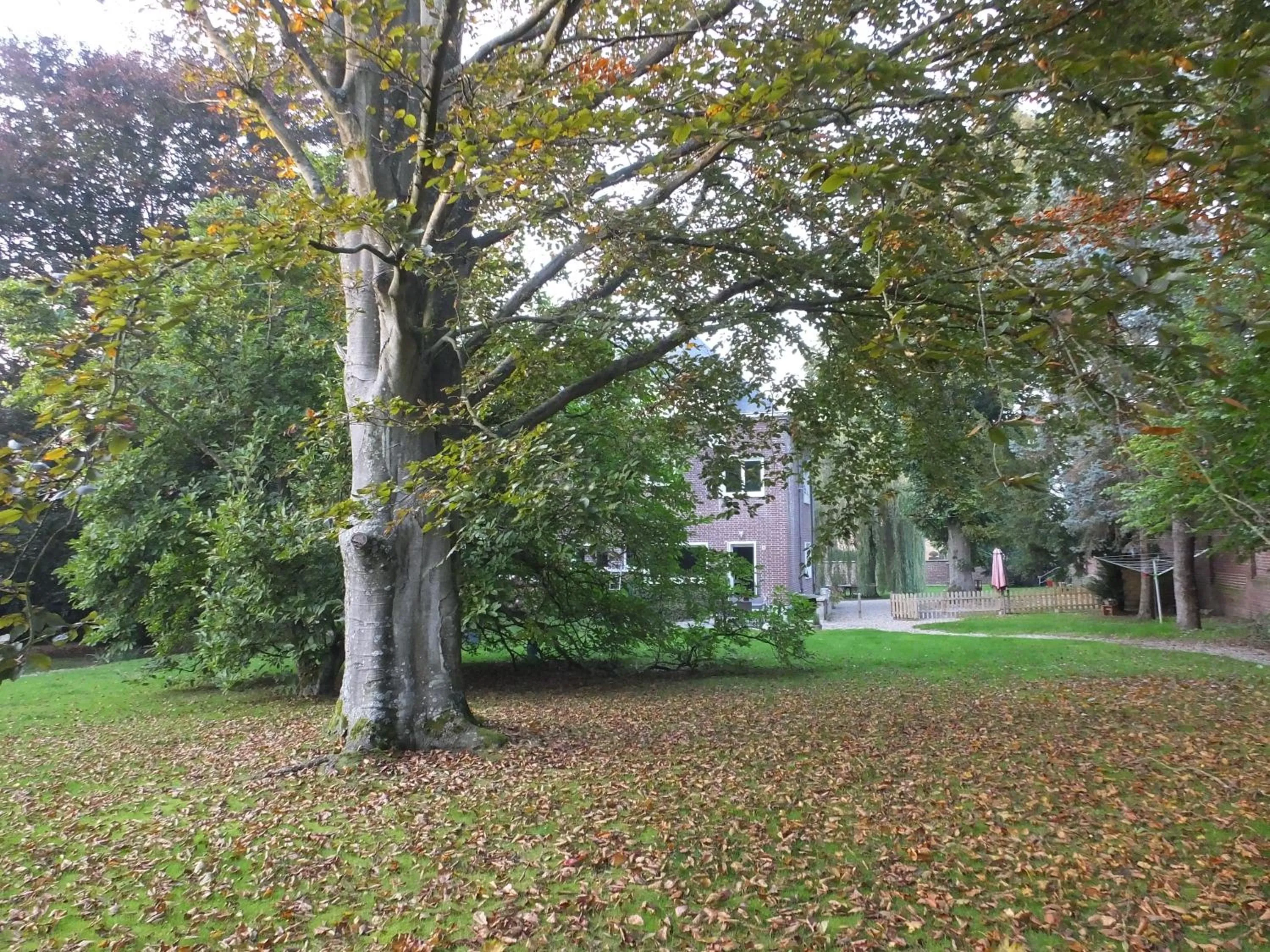 Autumn in L'Escarbotine