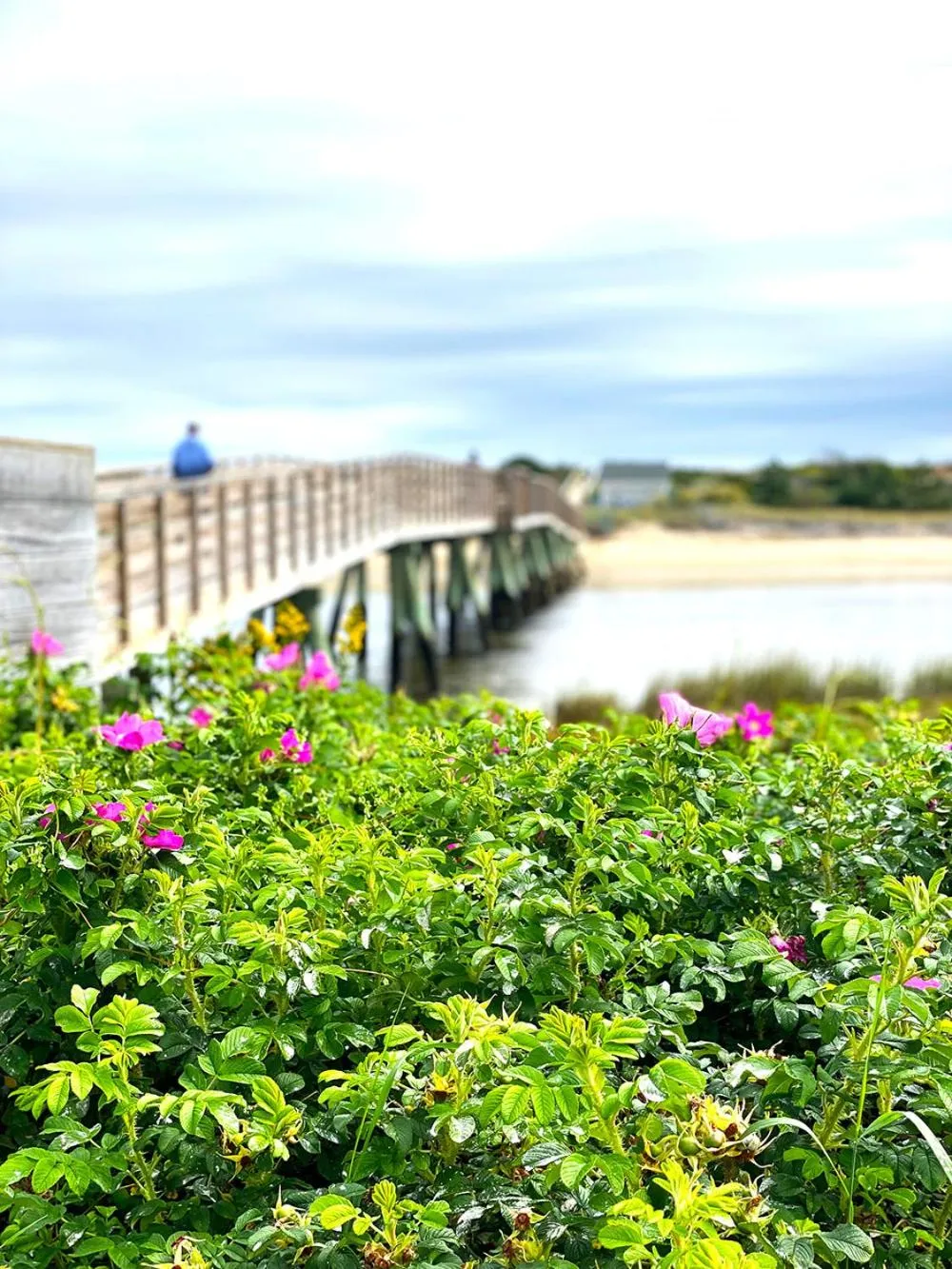 Beach in Ocean Acres Ogunquit