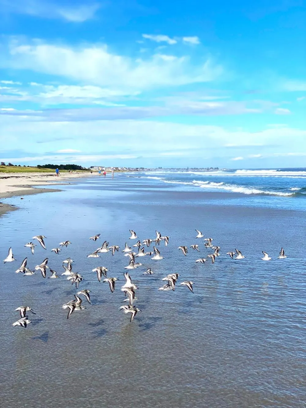 Beach in Ocean Acres Ogunquit