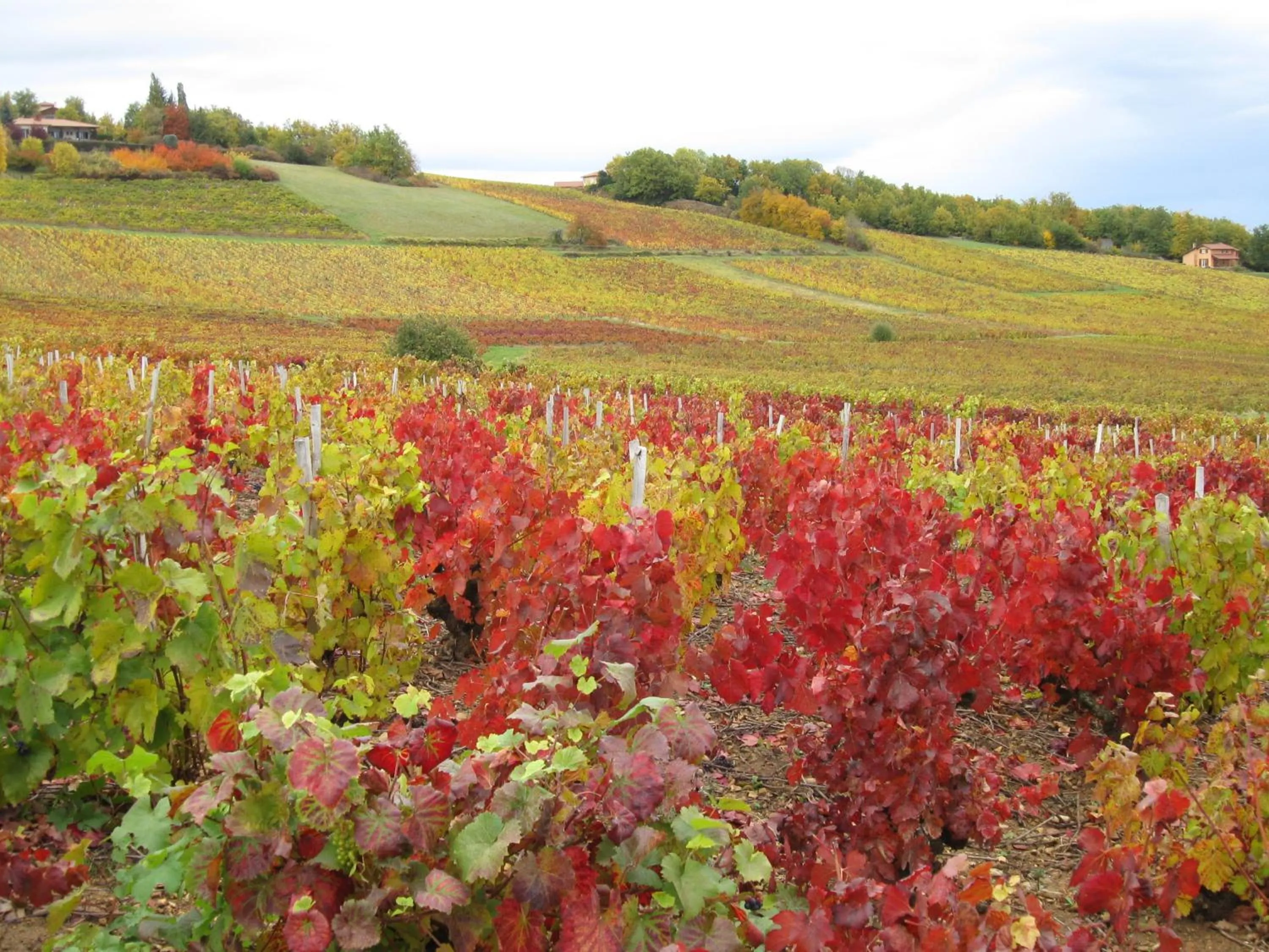 Off site in Domaine des Aloets