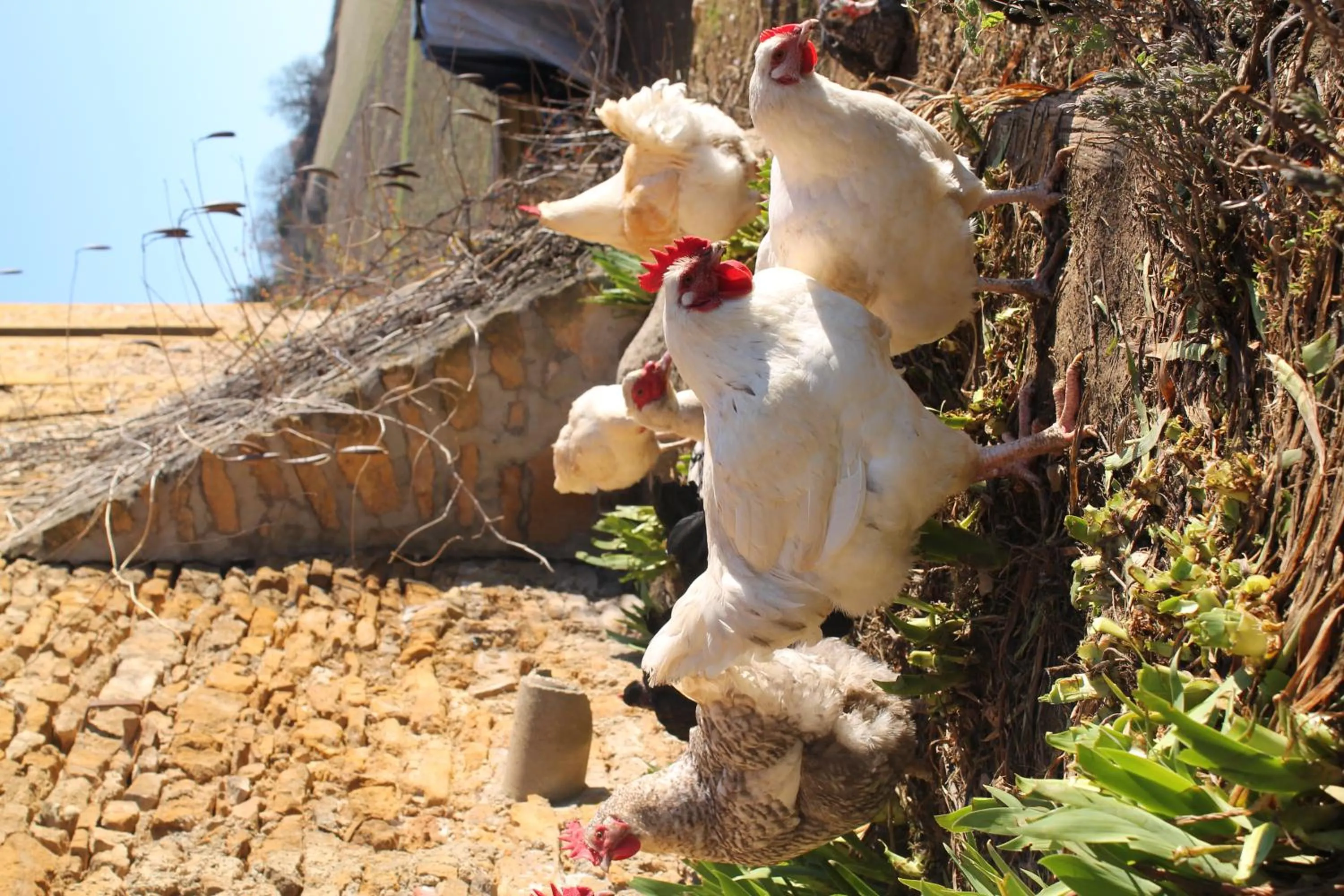 Day in Domaine des Aloets