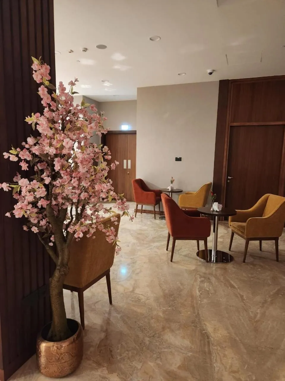 Restaurant/places to eat in Kyriad Hotel Salalah