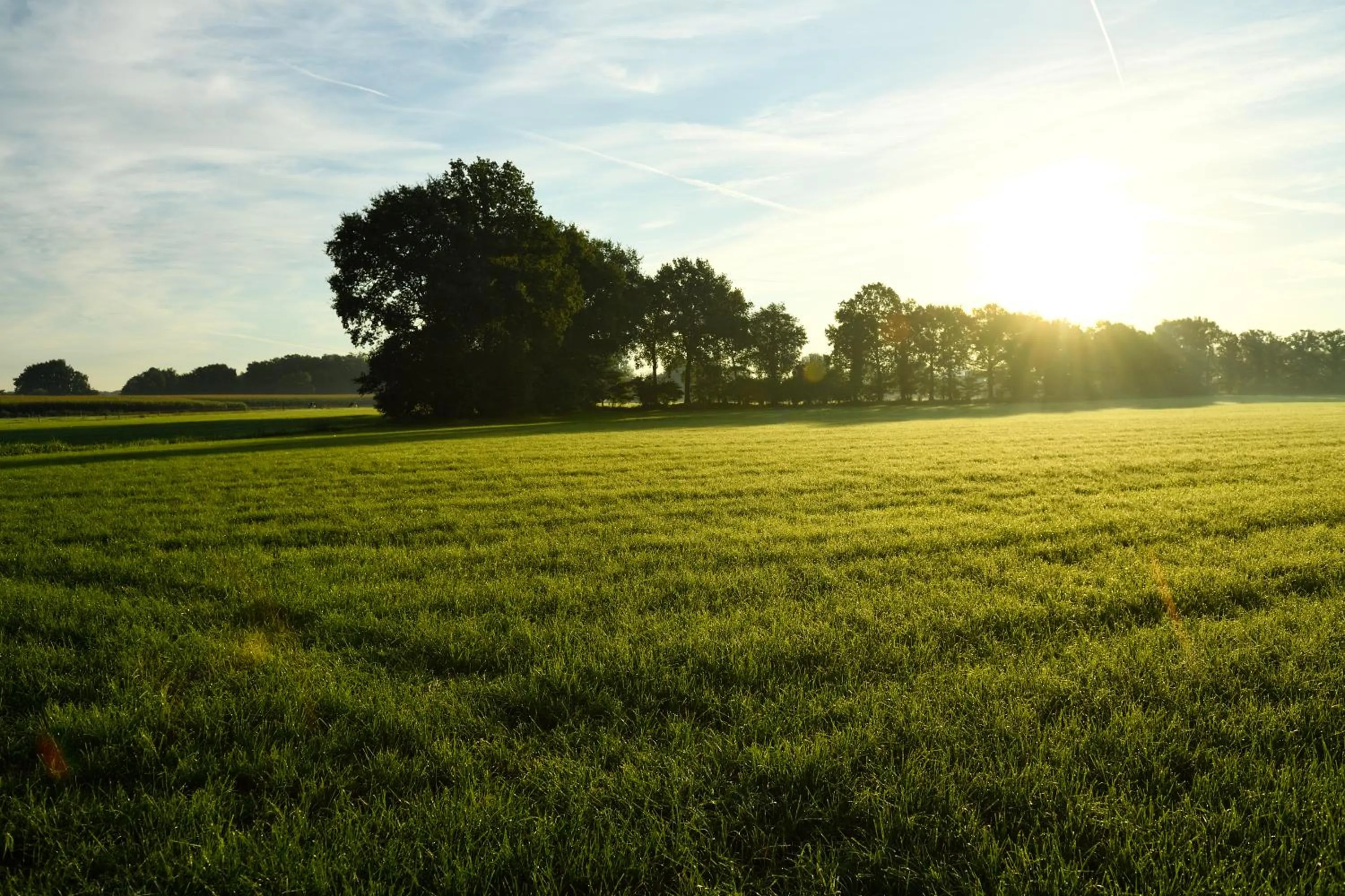 View (from property/room) in Landgoed De Holtweijde