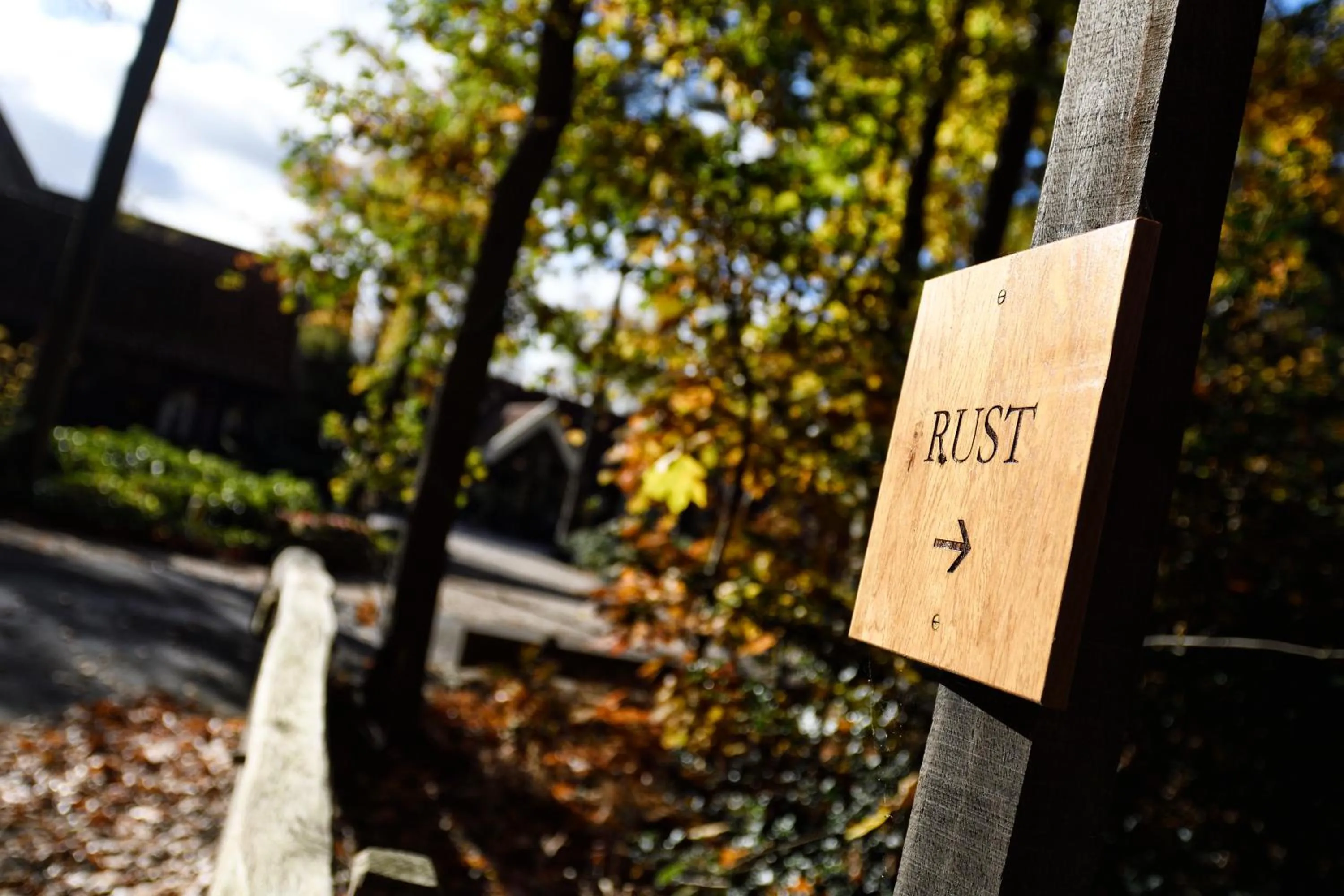 Natural landscape in Landgoed De Holtweijde