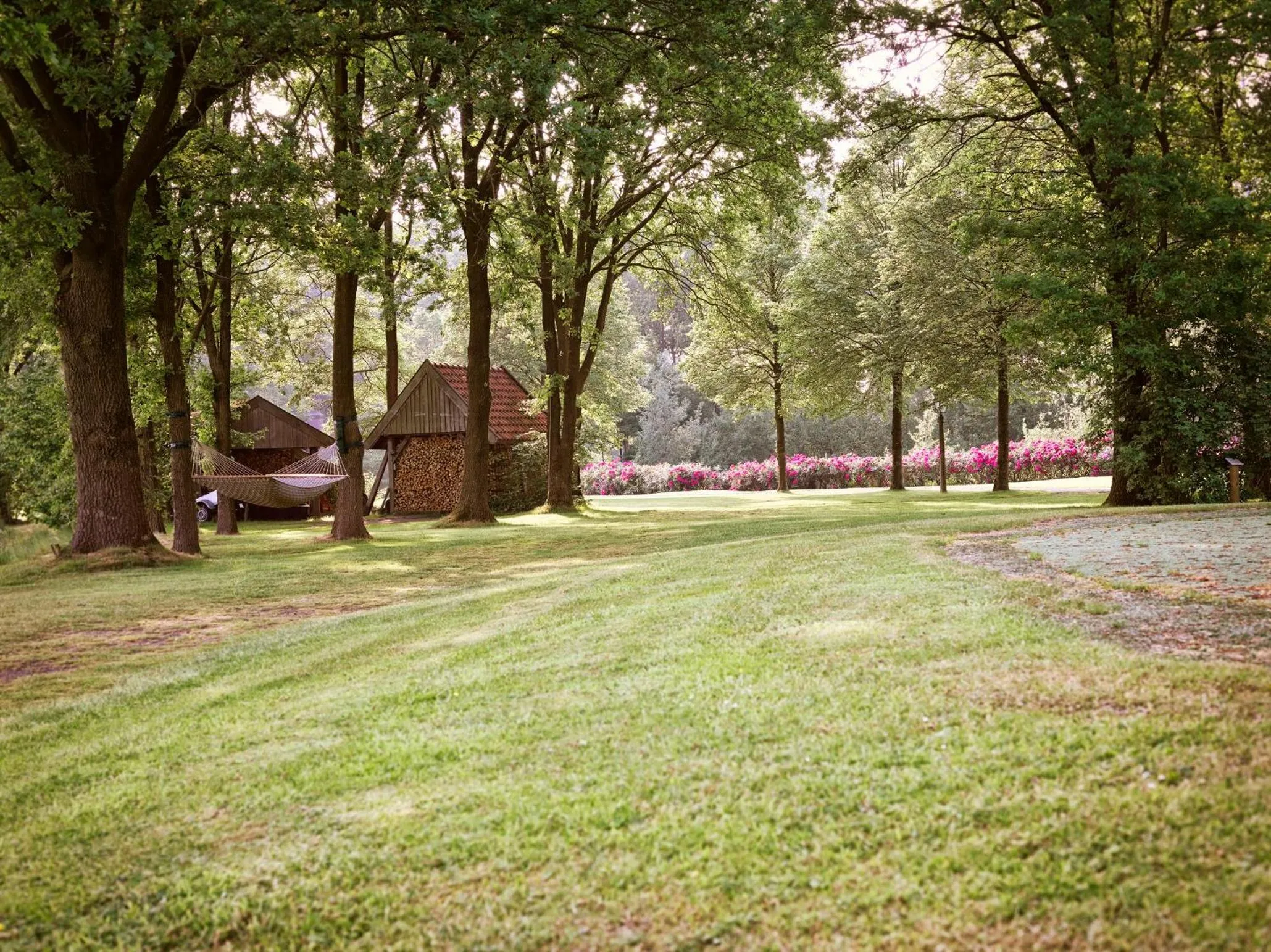 Natural landscape in Landgoed De Holtweijde