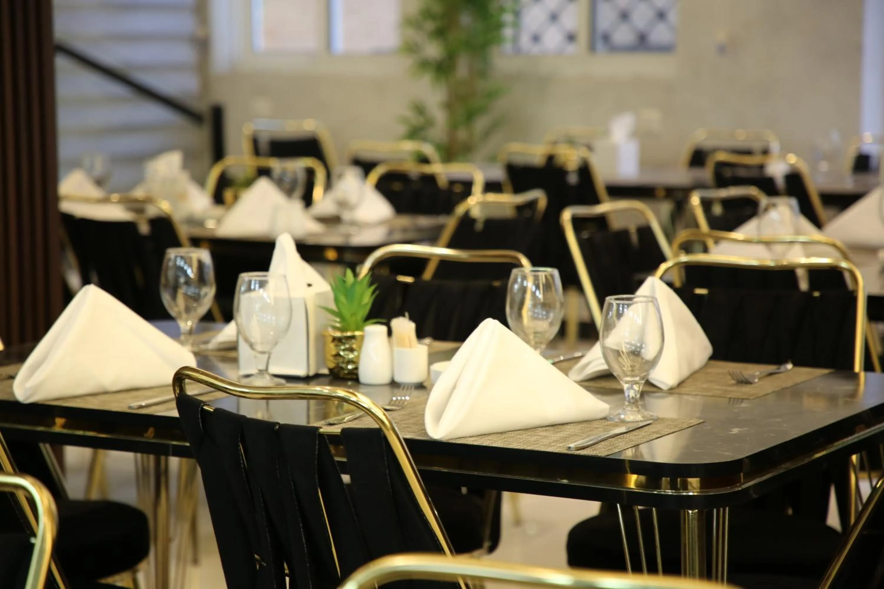 Restaurant/places to eat in Kaya Hotel Amman