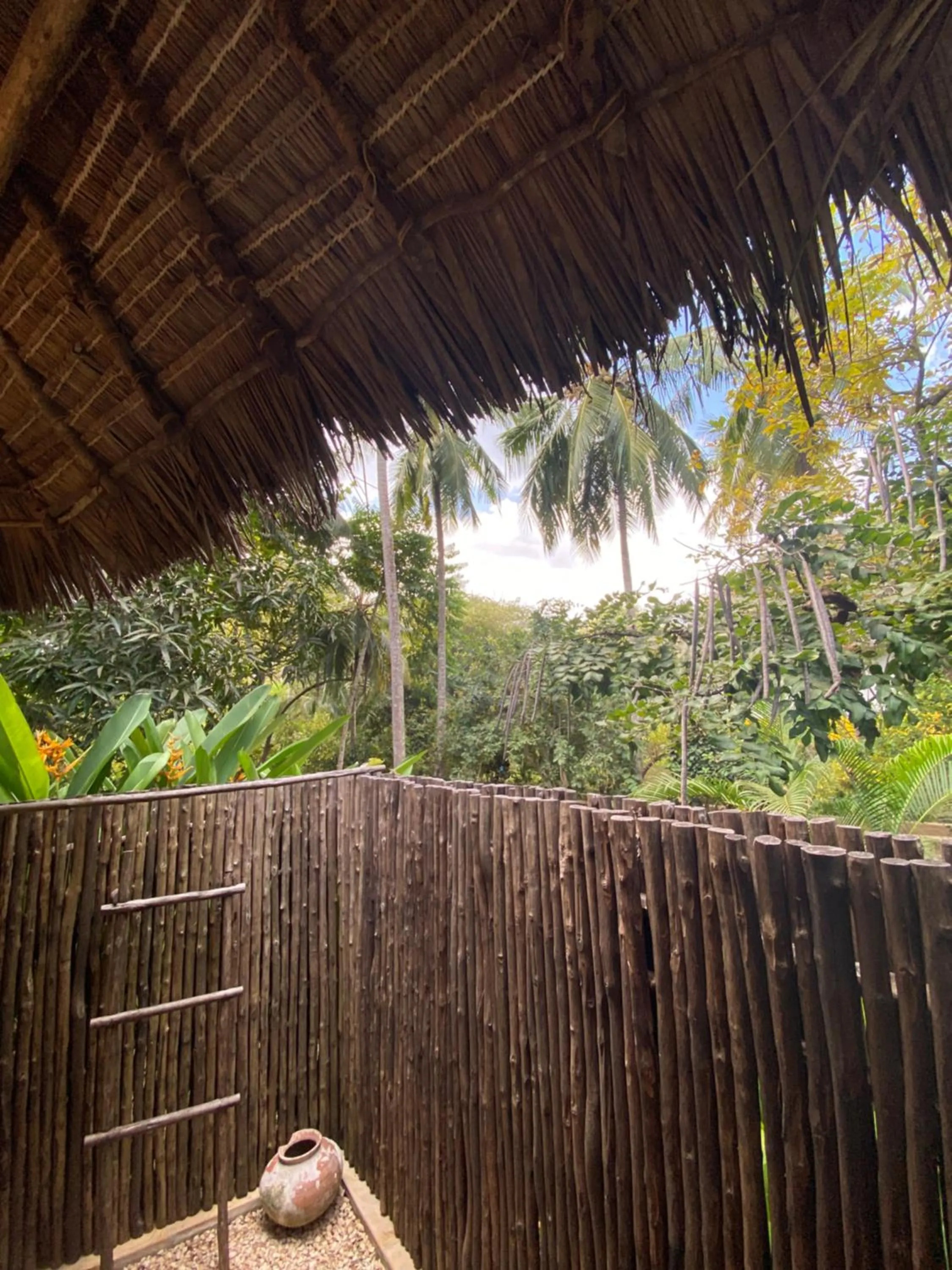 Shower in Mangrove Lodge