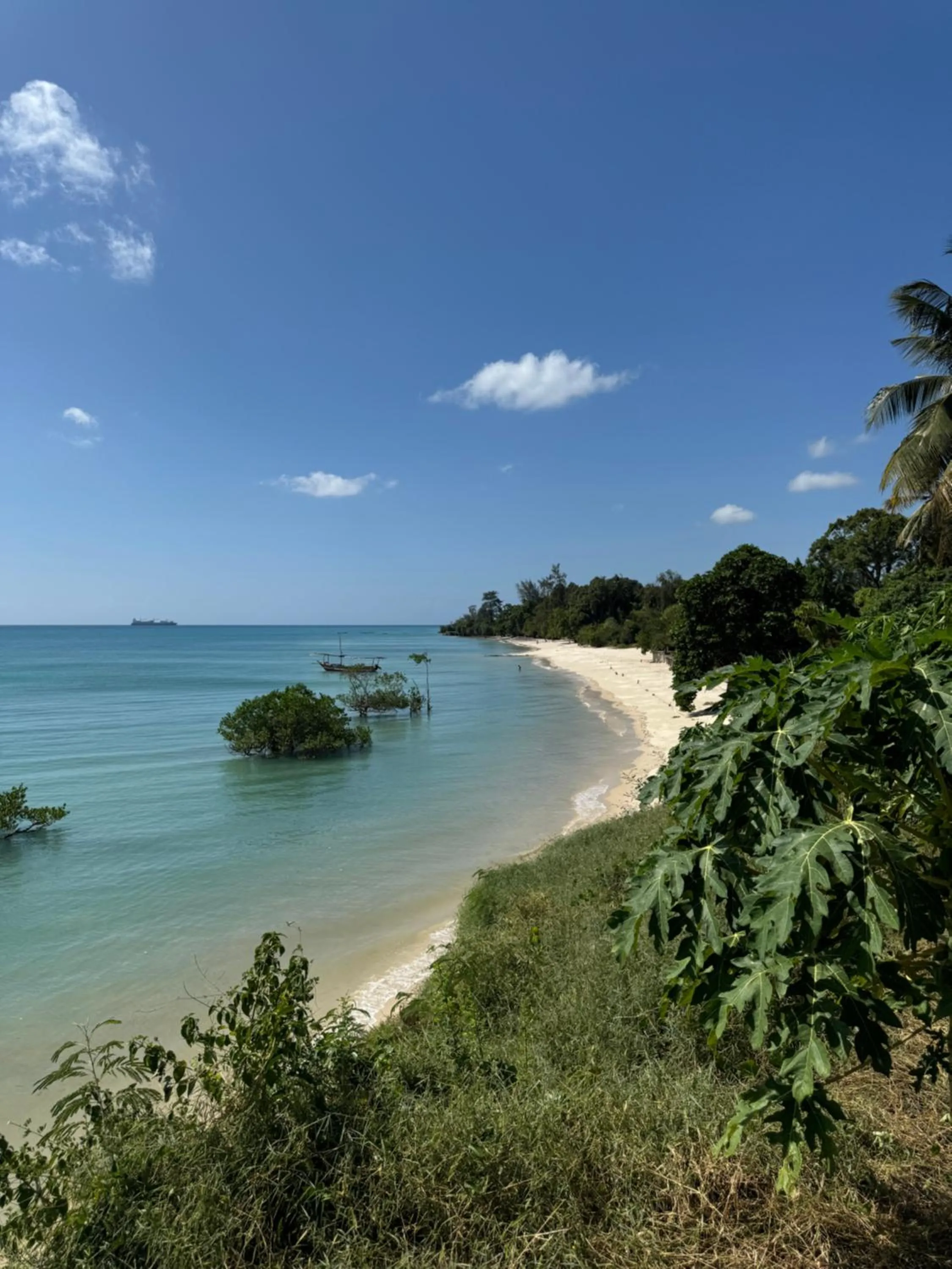 Nearby landmark in Mangrove Lodge