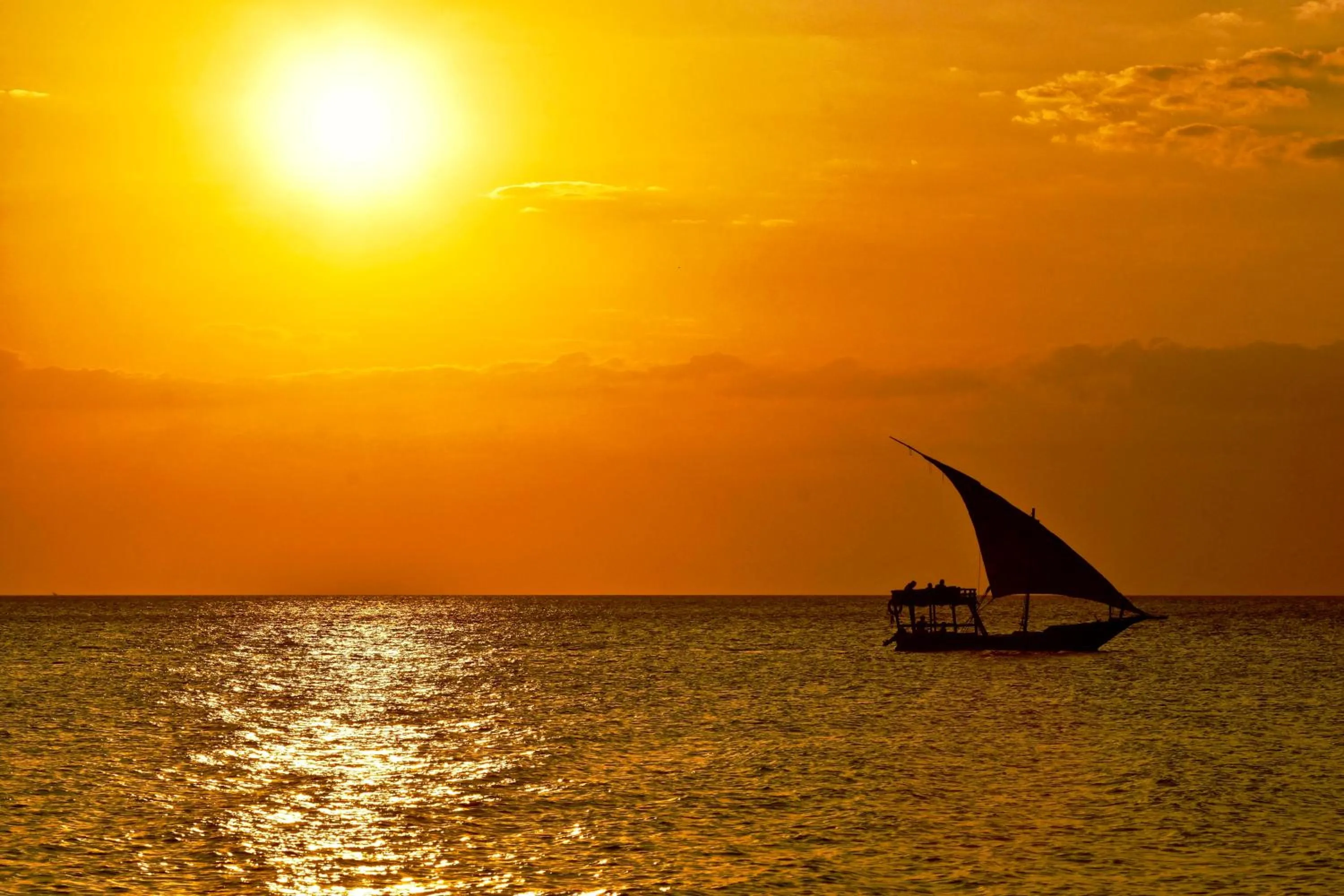 Natural landscape in Mangrove Lodge
