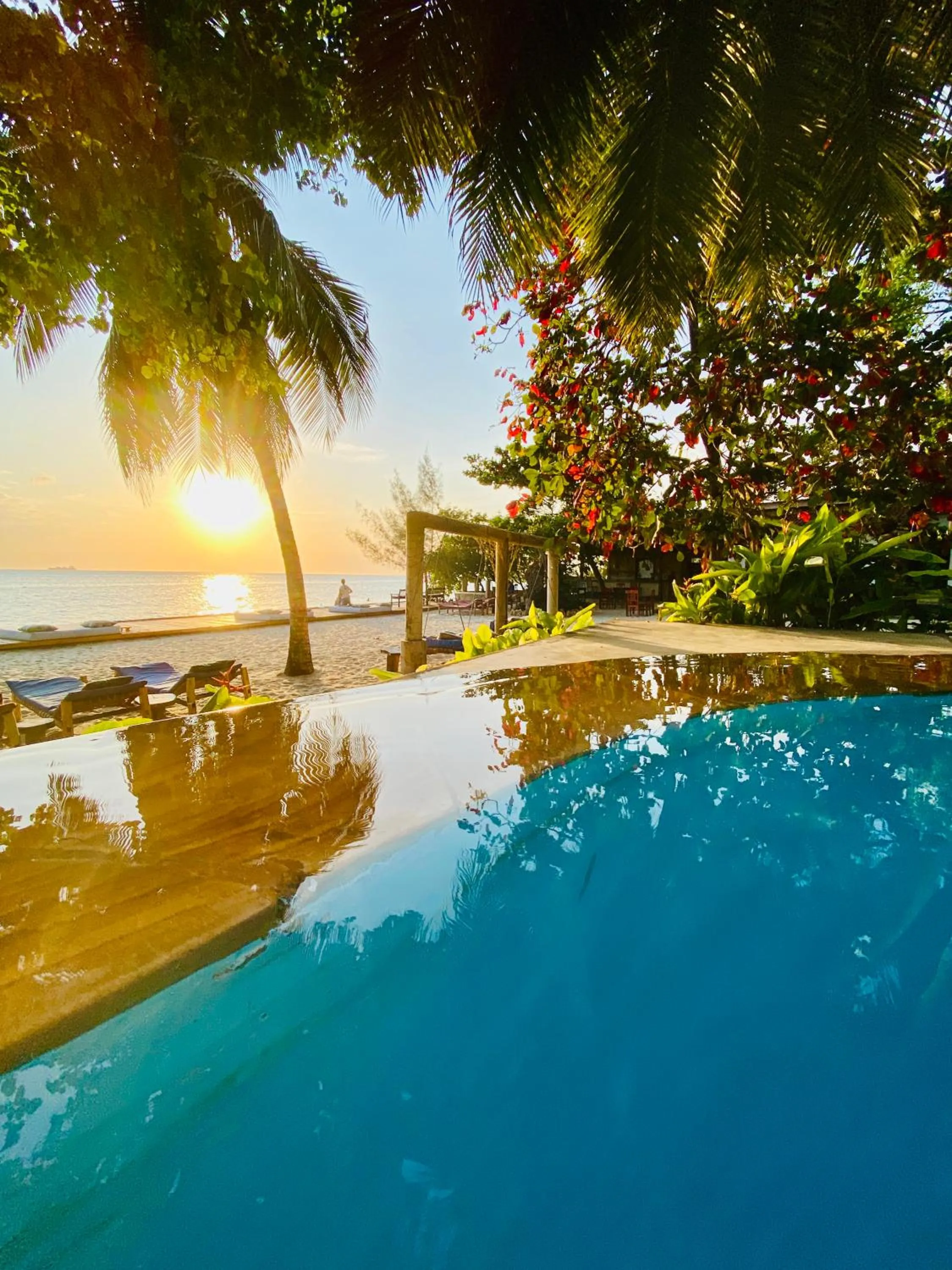 Natural landscape in Mangrove Lodge