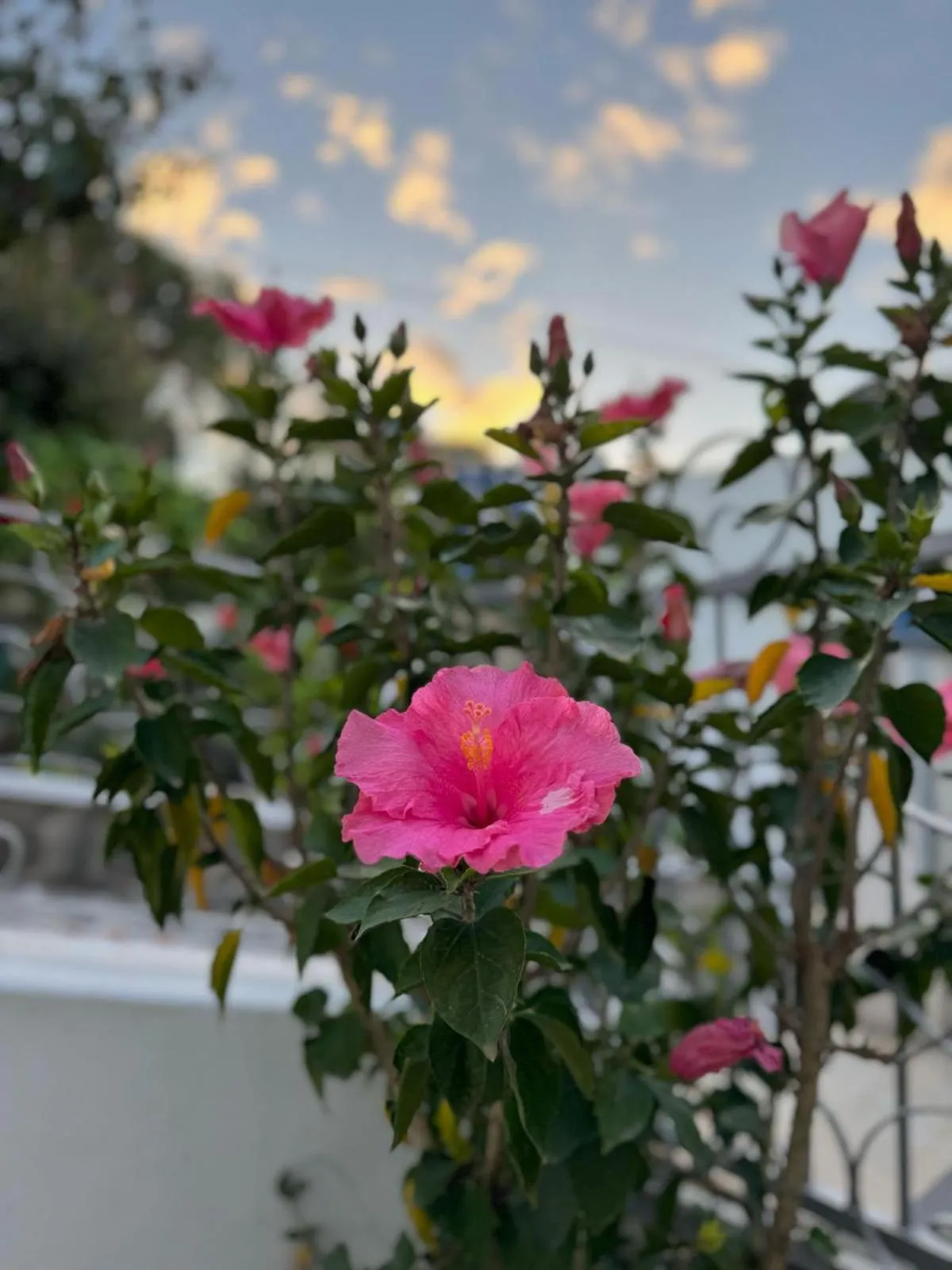 Bed and Breakfast Villa Angelina