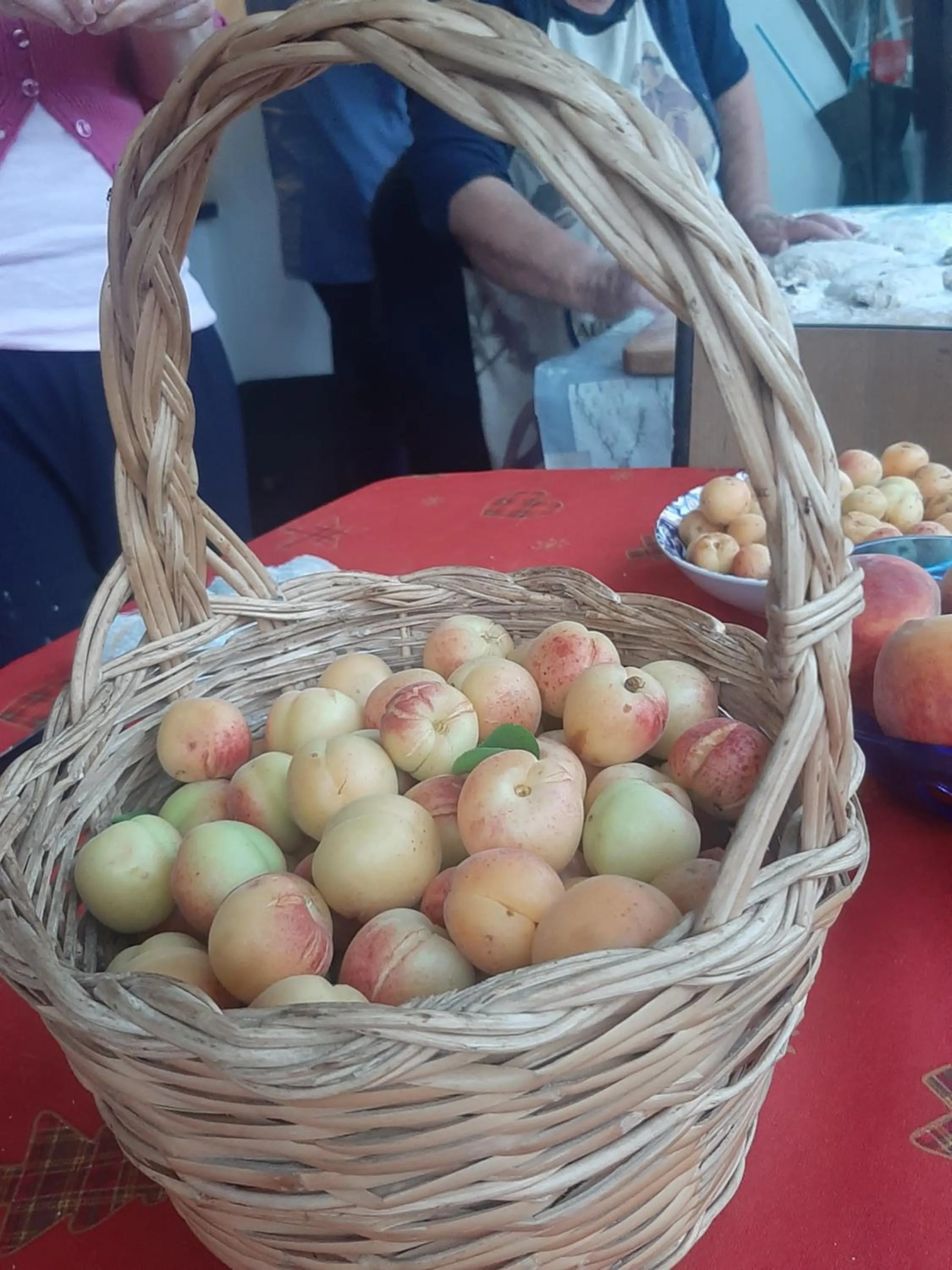 Bed and Breakfast Villa Angelina