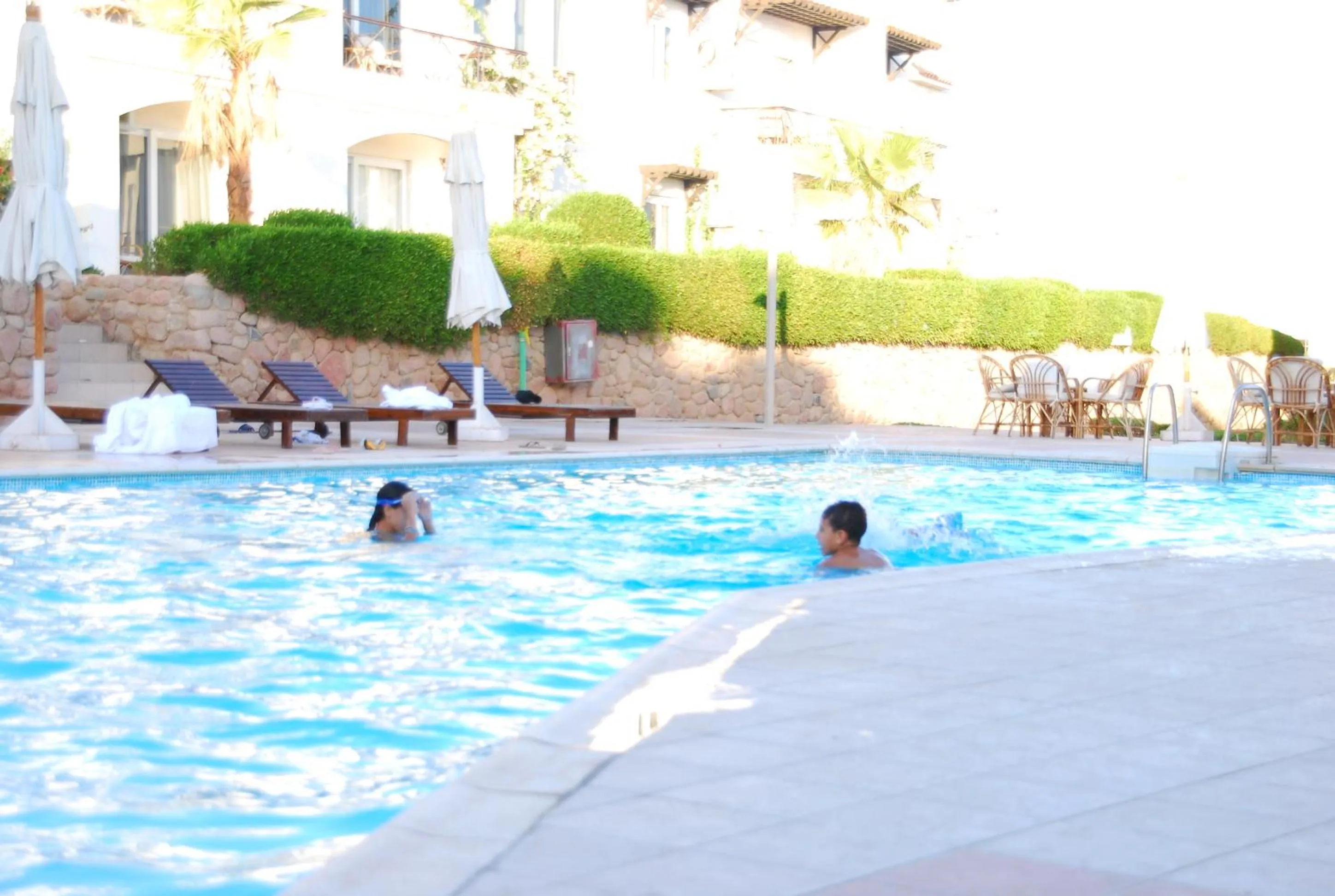 Pool view, Swimming Pool in Logaina Sharm Resort Apartments