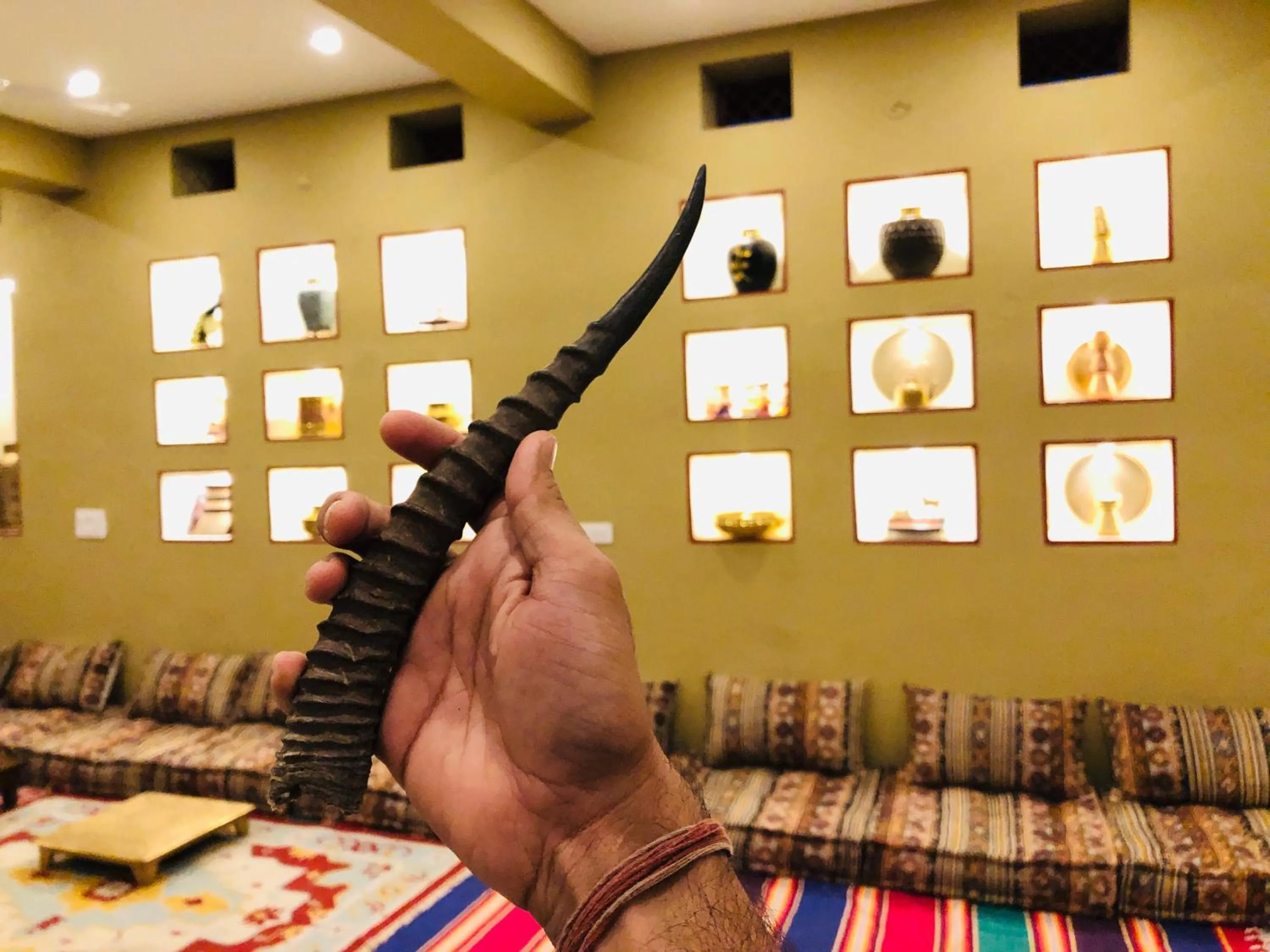 Chinkara Resorts Bishnoi Village