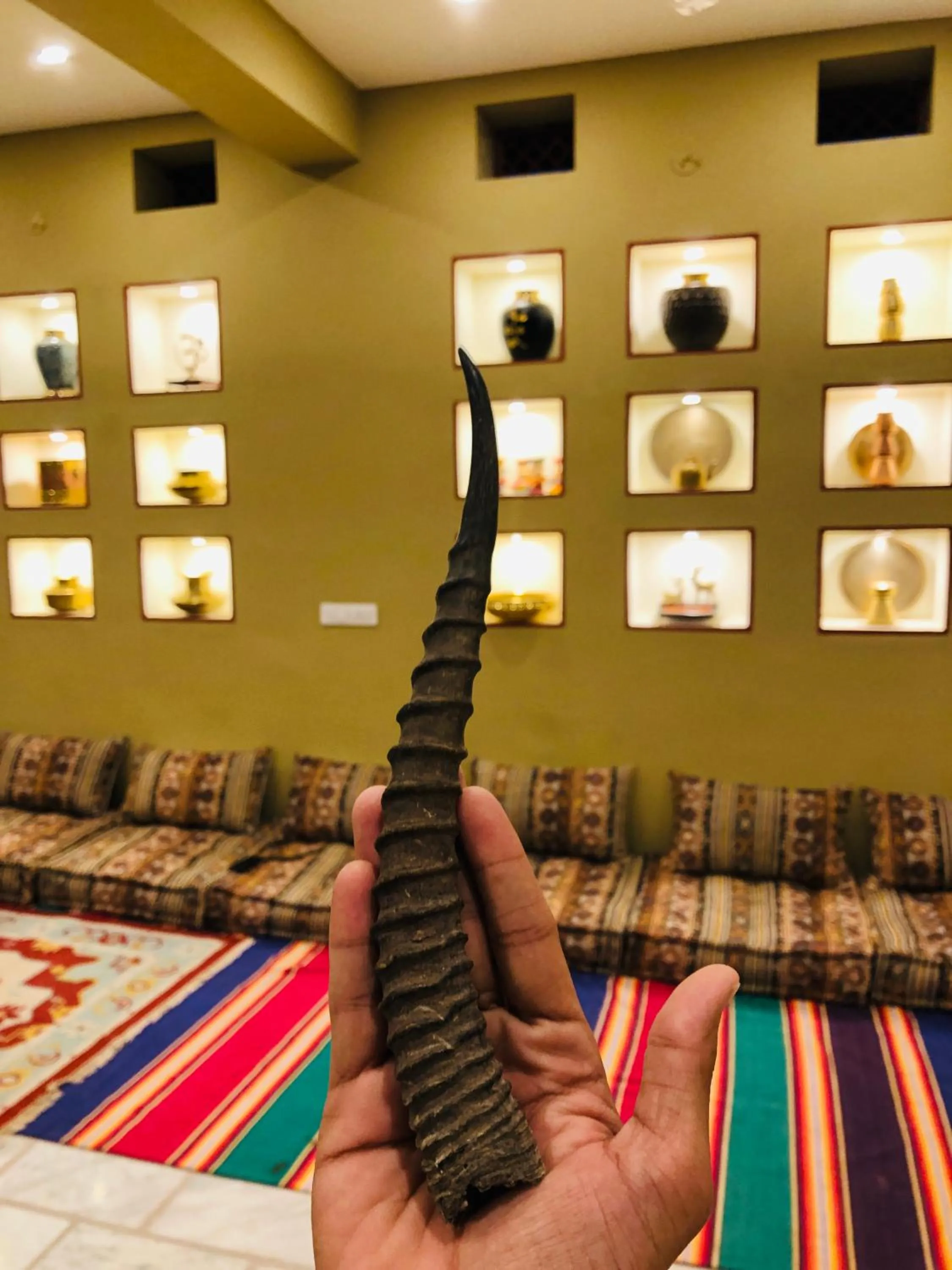 Chinkara Resorts Bishnoi Village