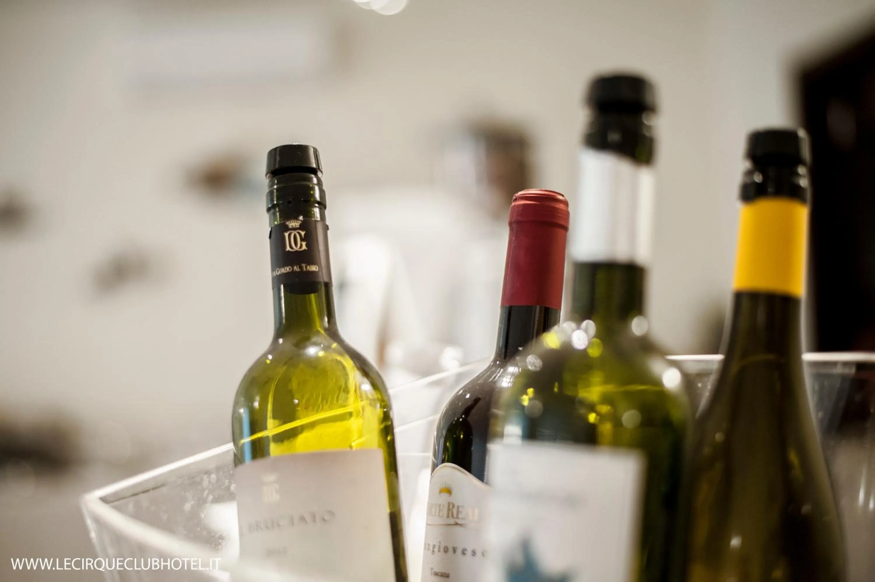 Food in Hotel Lido Inn