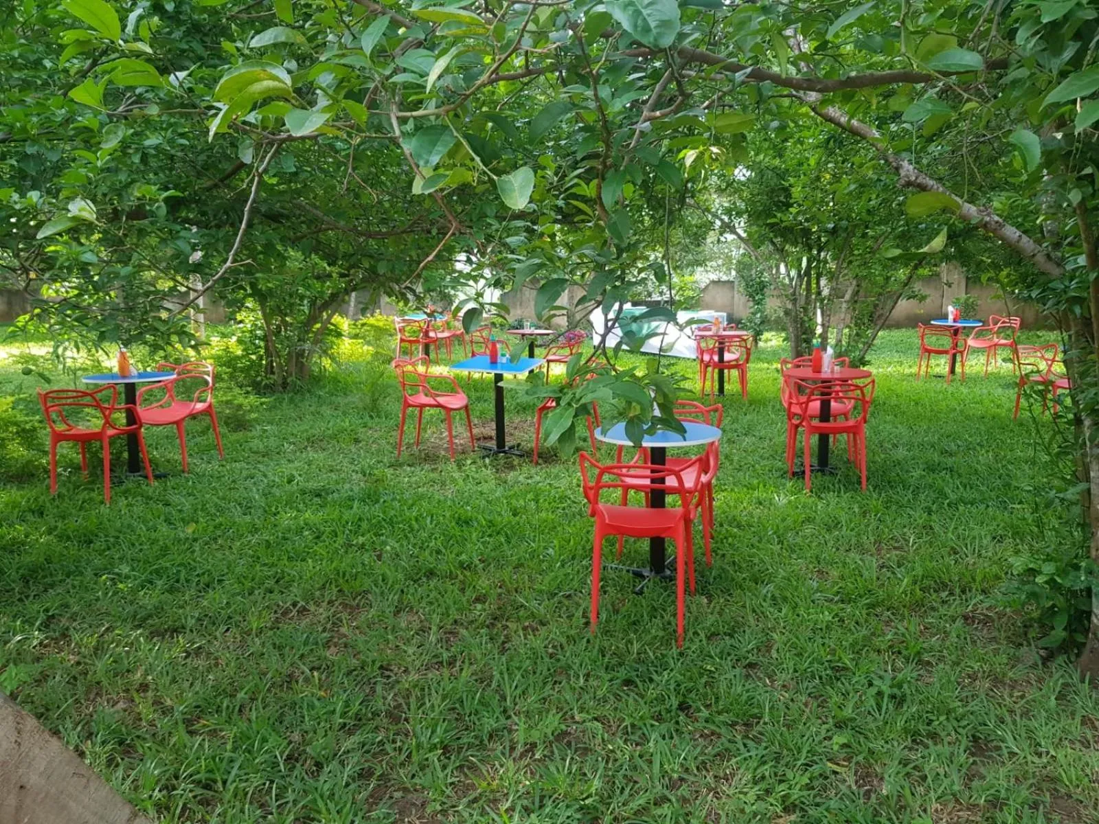 Garden in Greenyard Resort Mtwapa