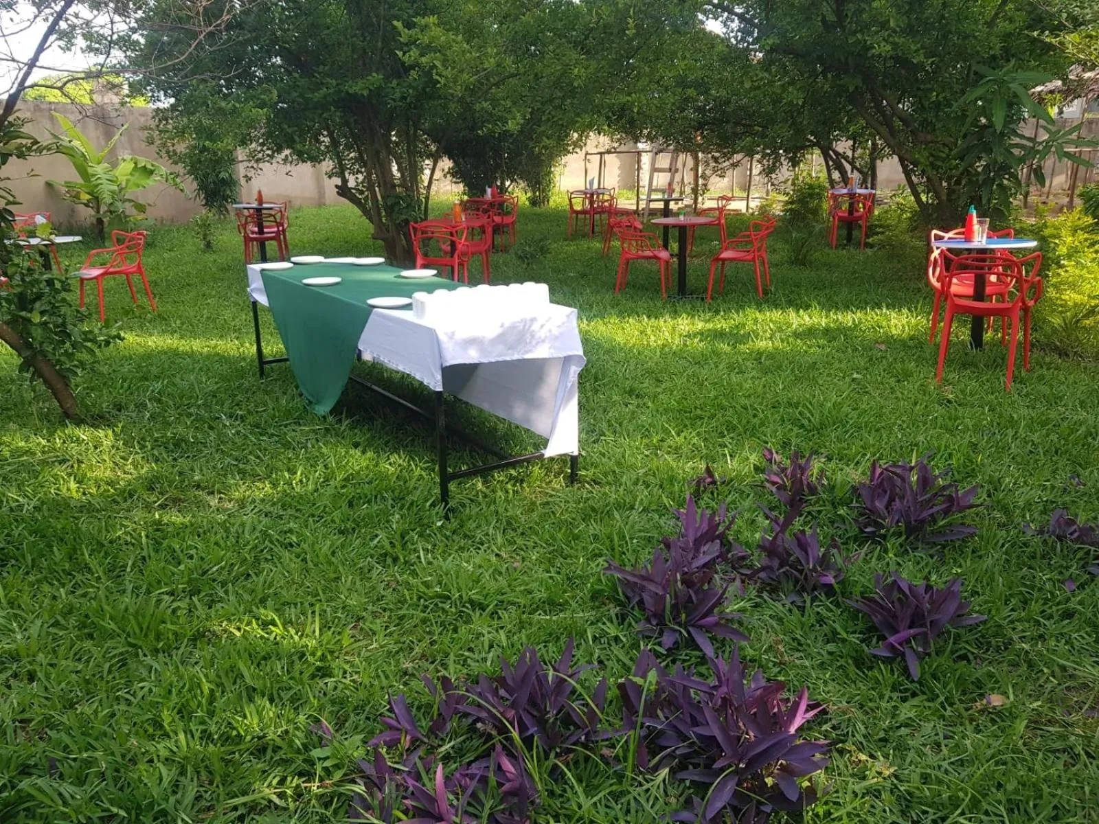 Natural landscape in Greenyard Resort Mtwapa