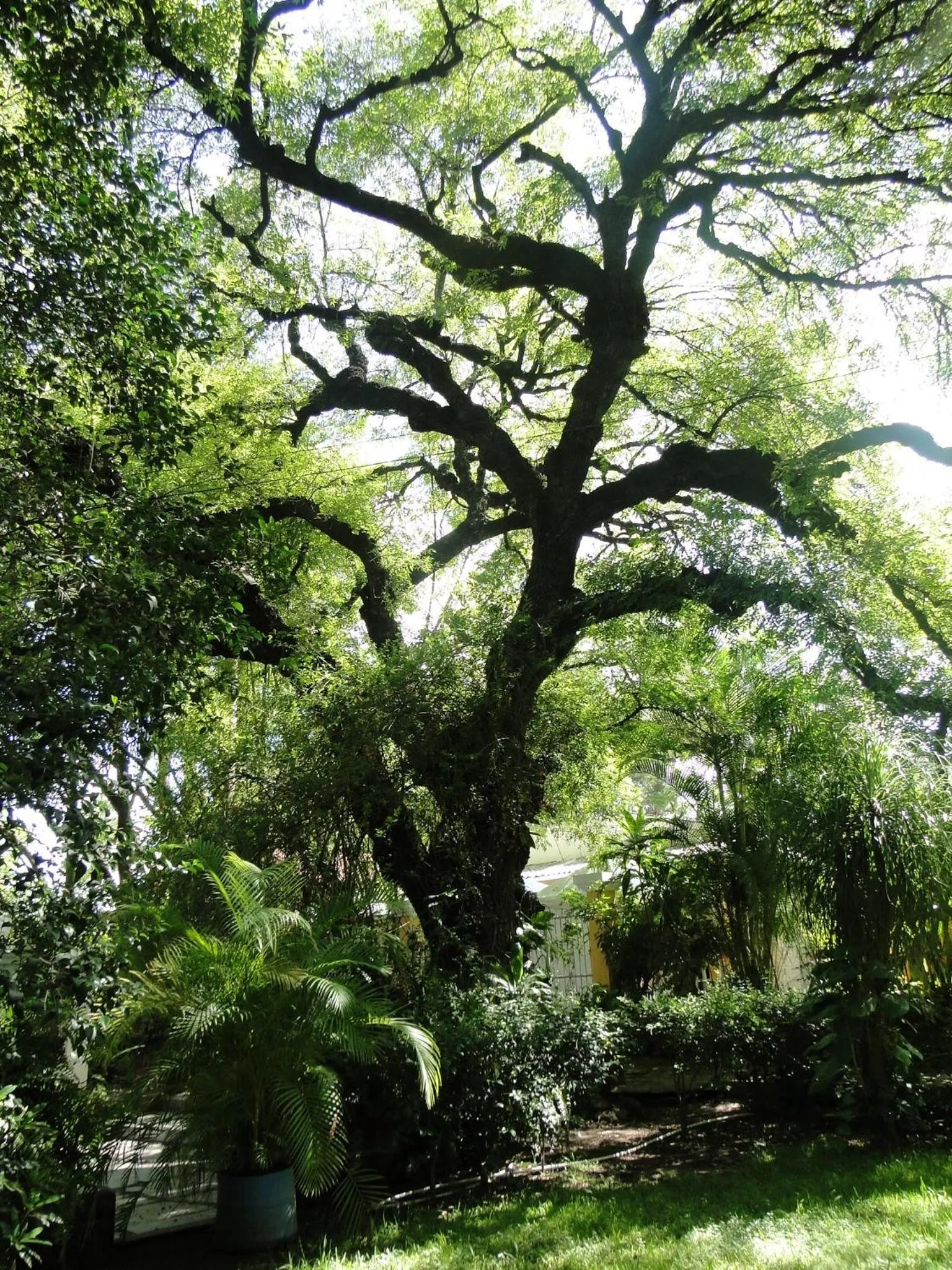 Other in El Molino Hotel Boutique