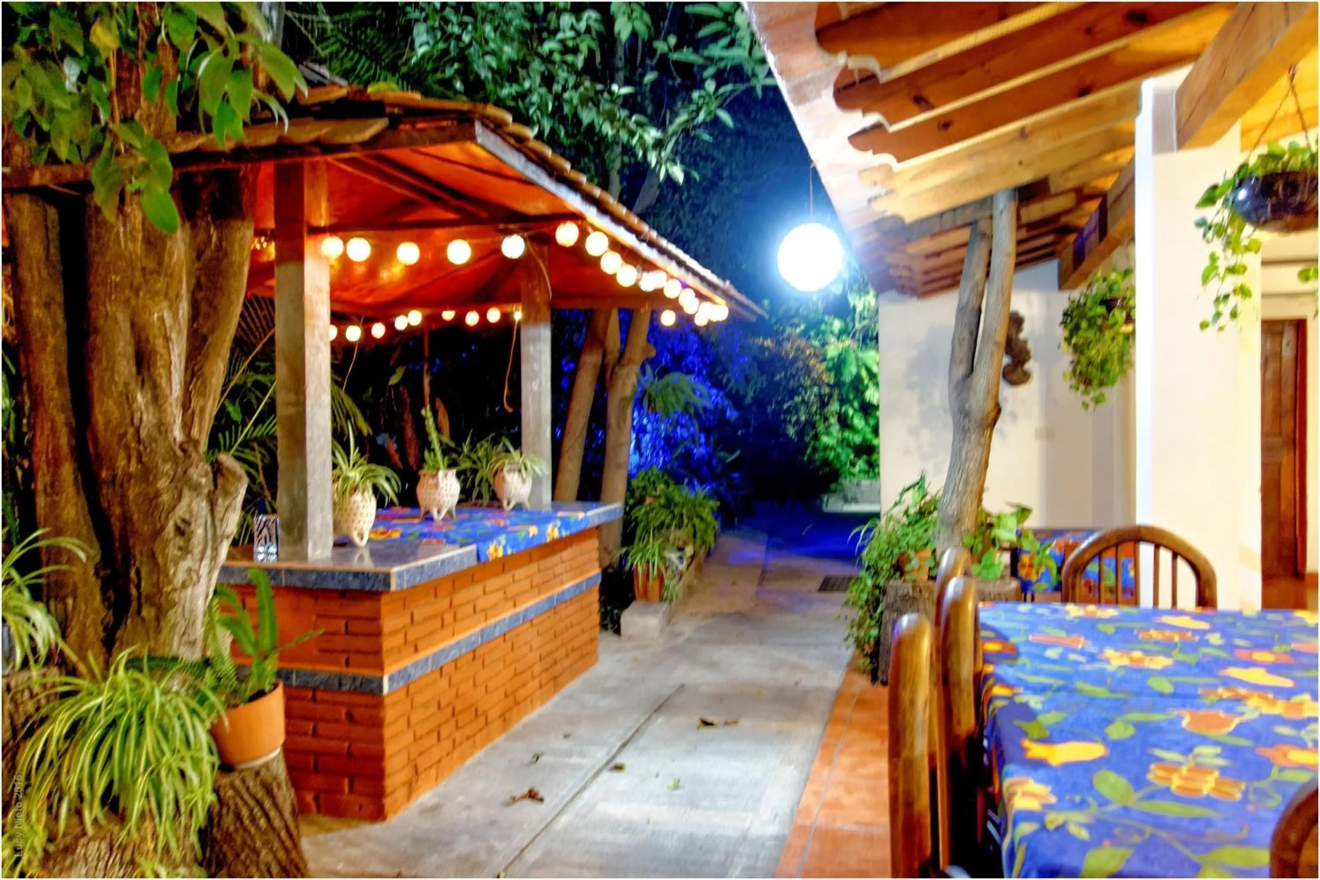 Garden view in El Molino Hotel Boutique