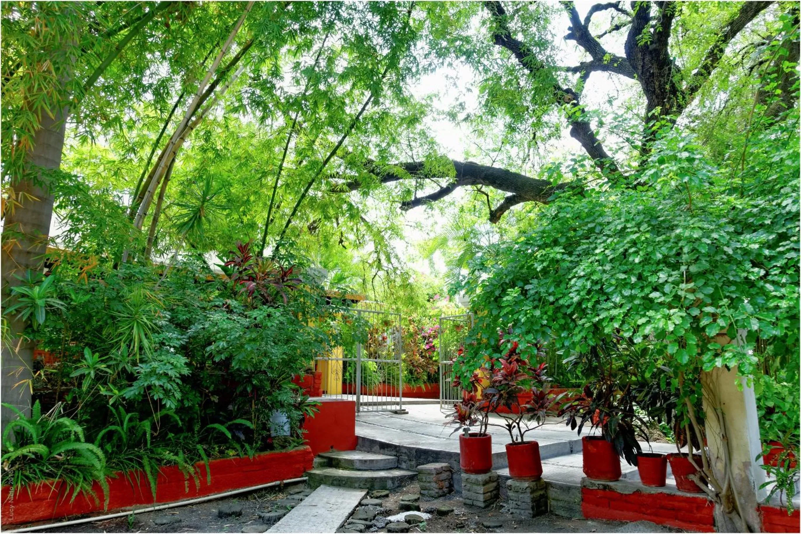 Patio in El Molino Hotel Boutique