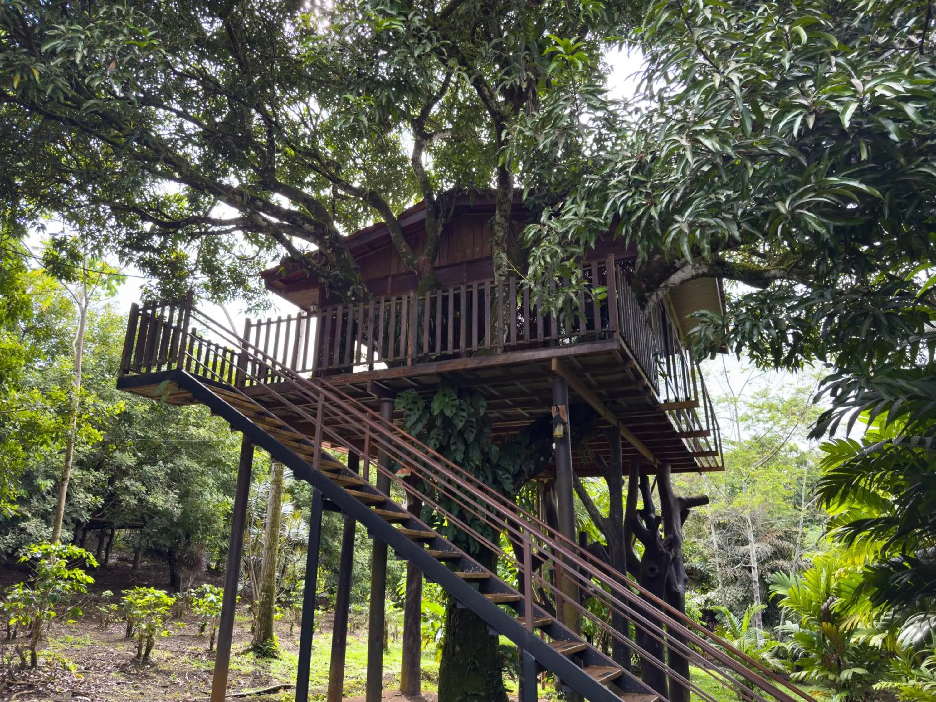 Garden in Hotel Heliconias Nature Inn & Hot Springs